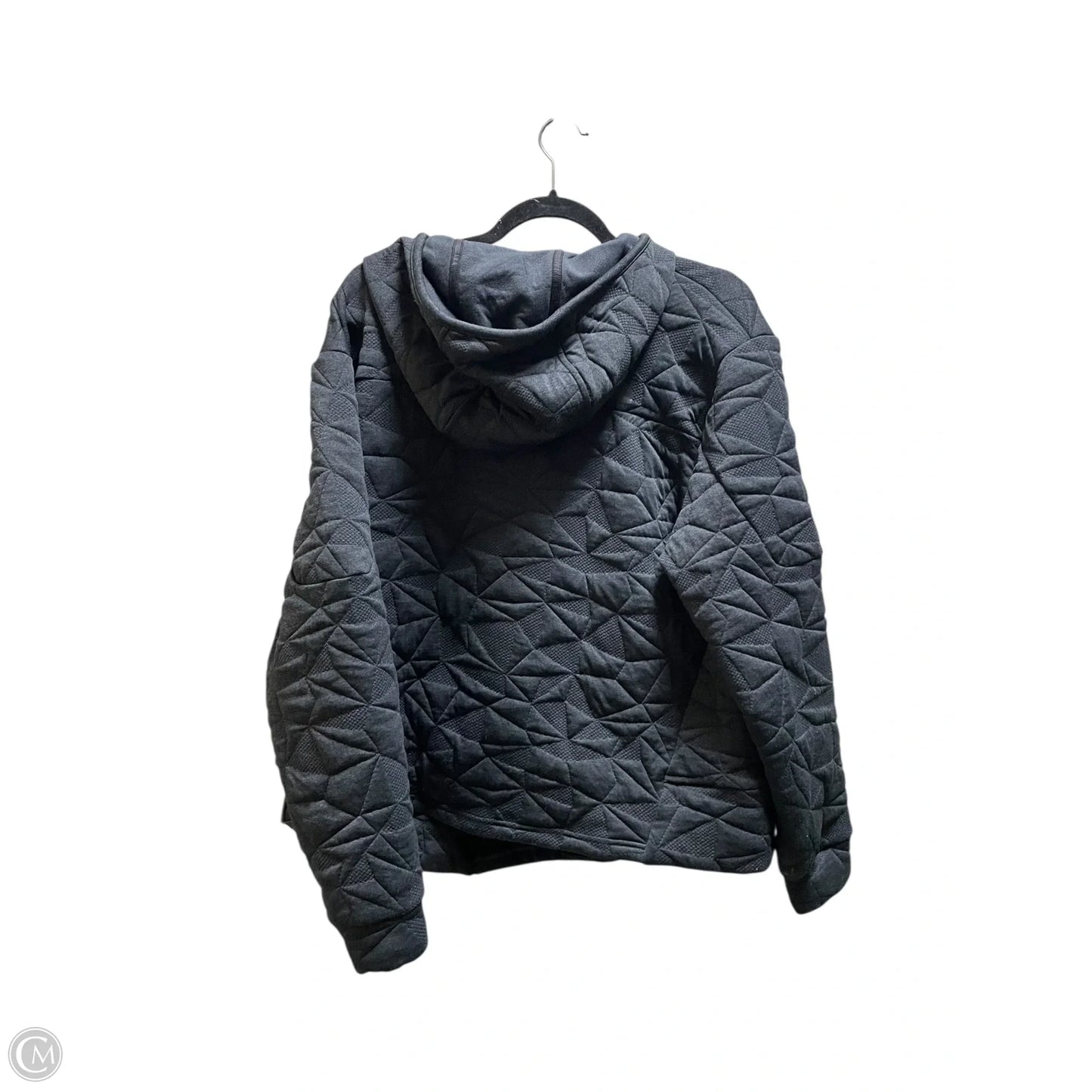 Sweatshirt Hoodie By The North Face In Grey, Size: Xl