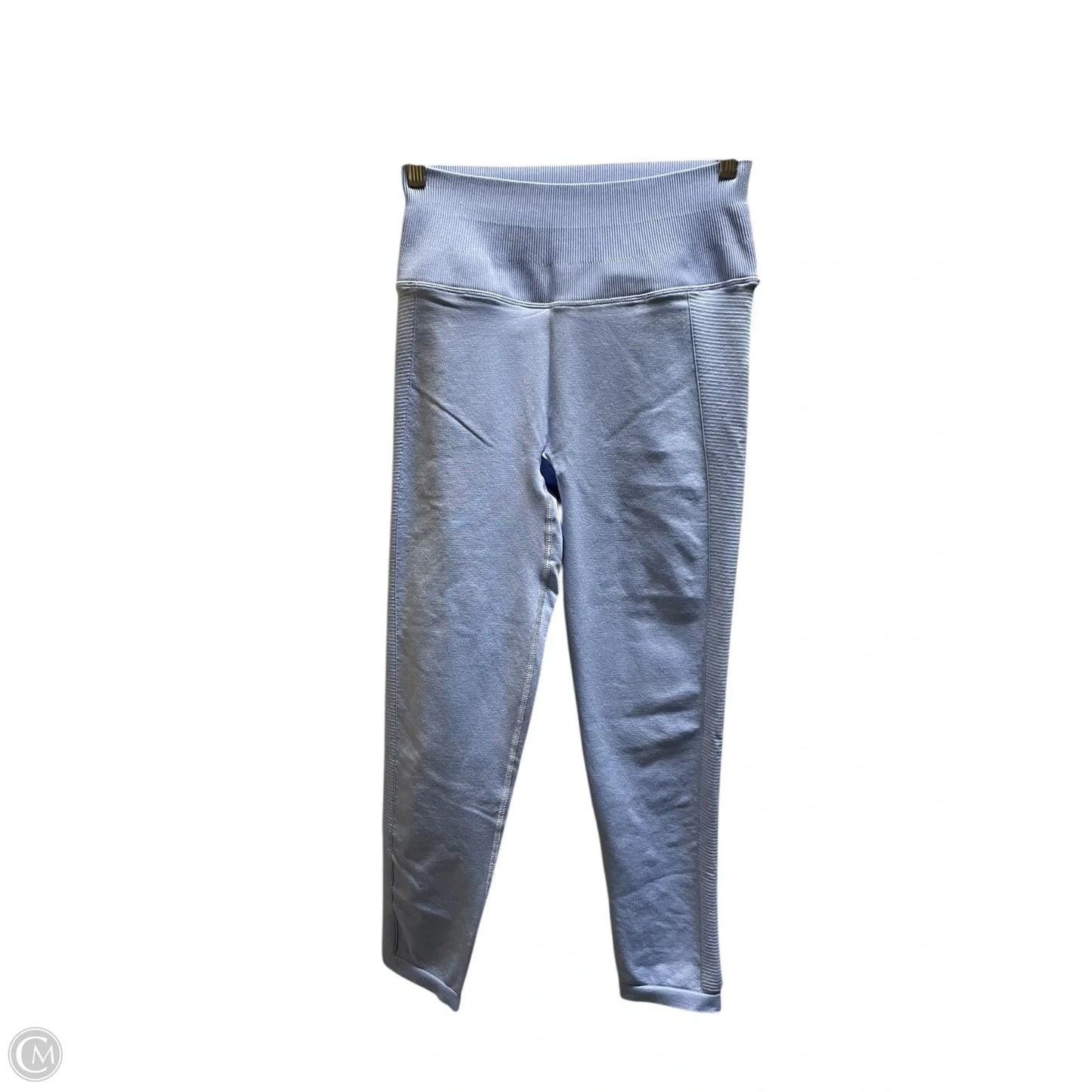 Athletic Leggings By Offline By Aerie In Blue, Size: L