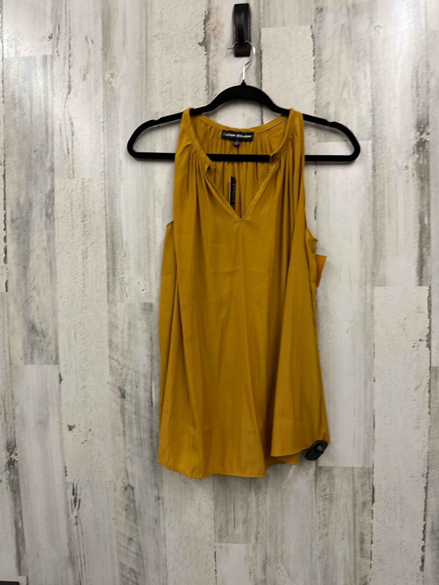 Top Sleeveless By Catherine Malandrino  Size: Xs