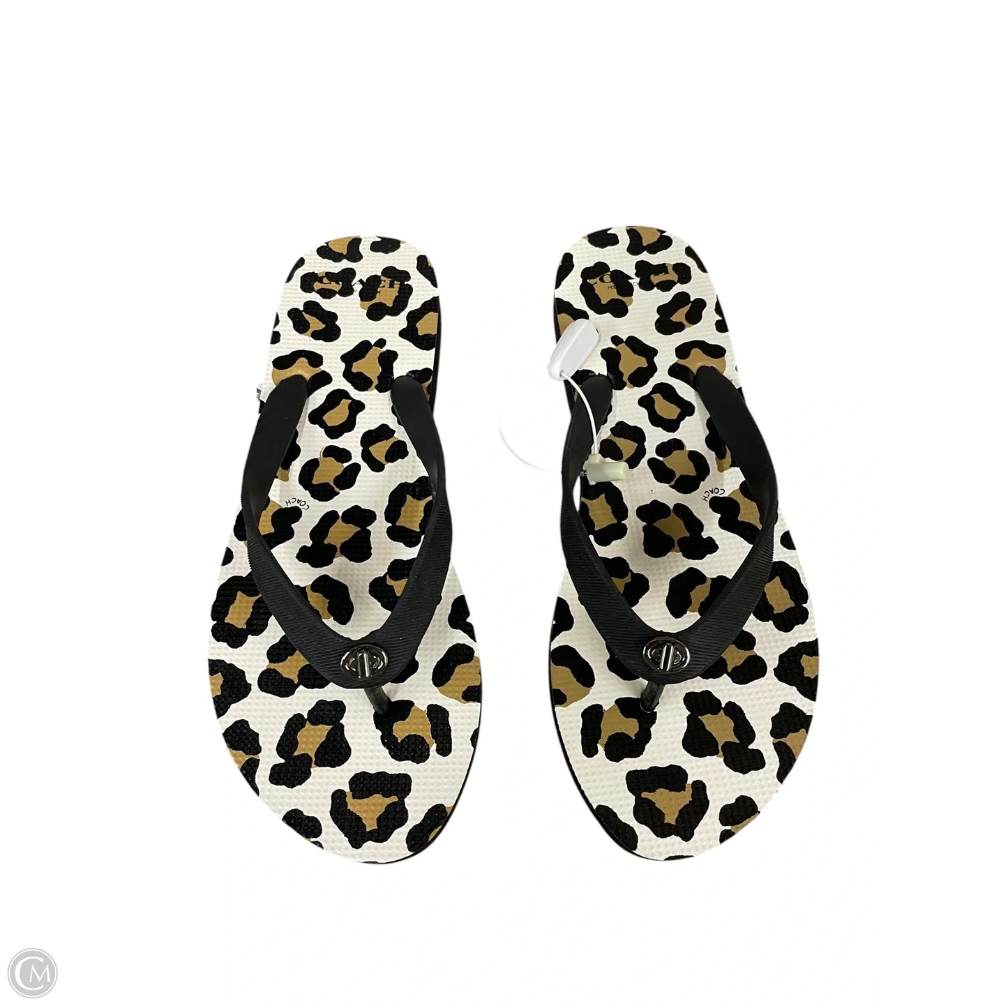 Shoes Designer By Coach In Leopard Print, Size: 8