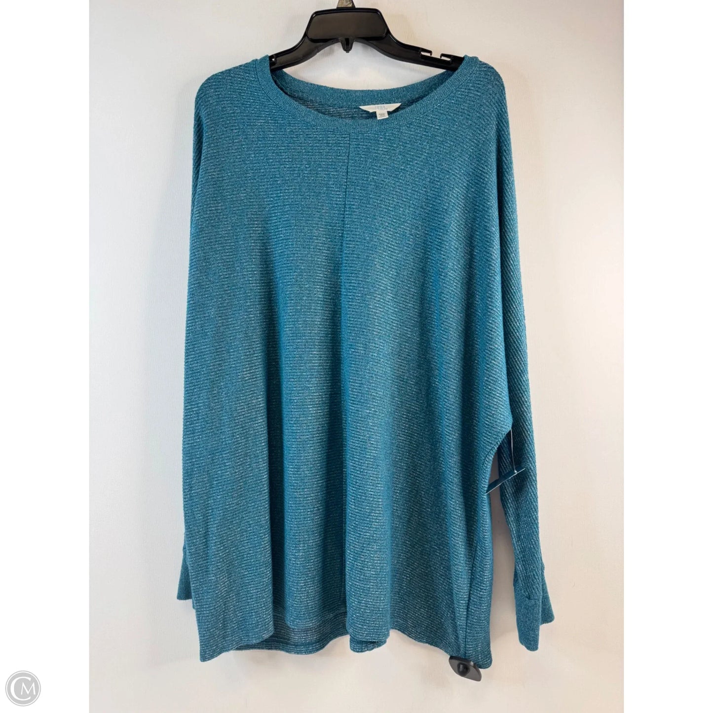 Top Long Sleeve By Time And Tru In Teal, Size: 3x
