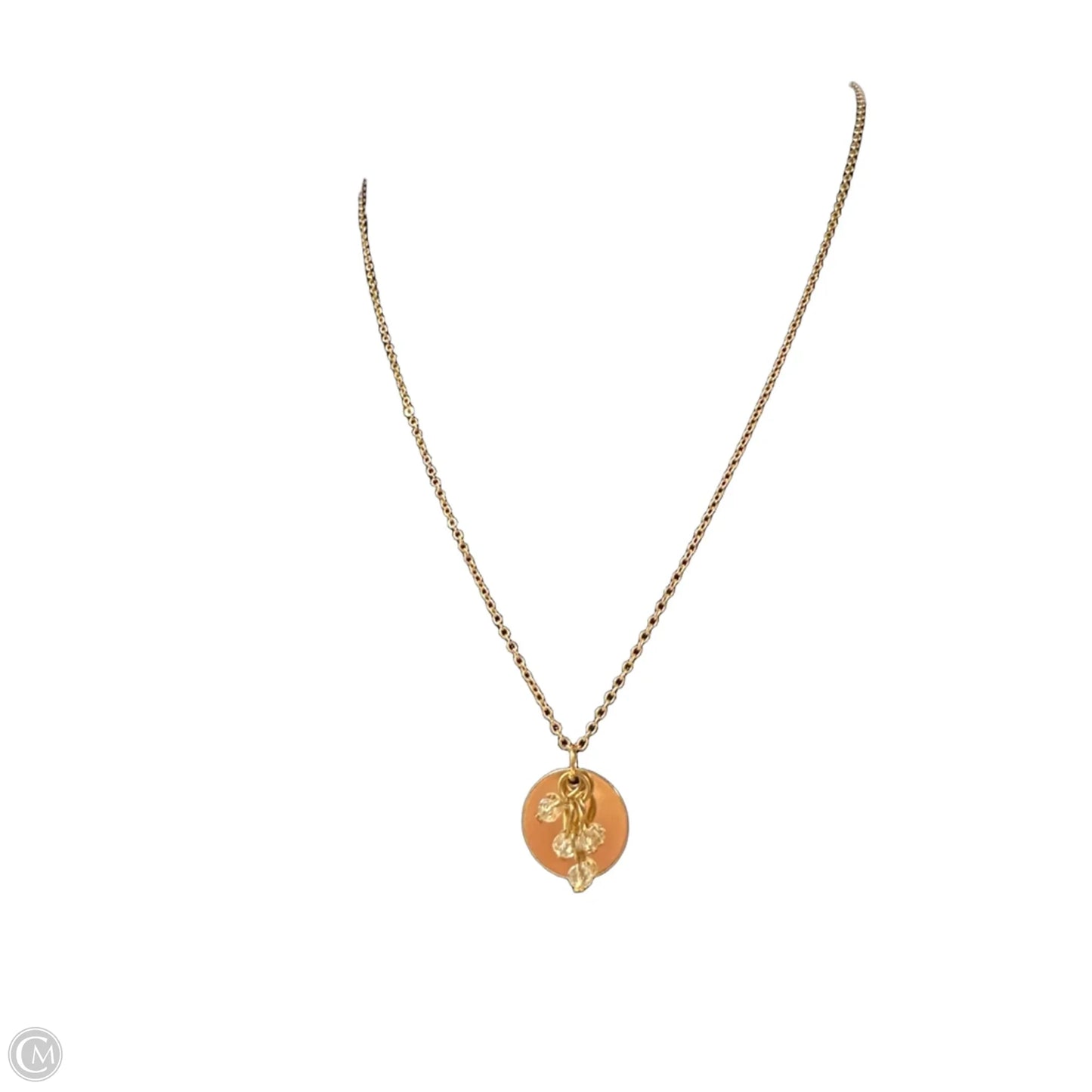 Necklace Pendant By Clothes Mentor