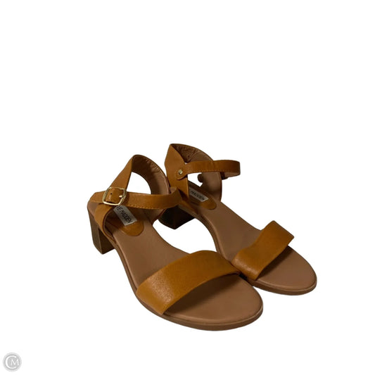Sandals Heels Block By Steve Madden In Tan, Size: 7.5