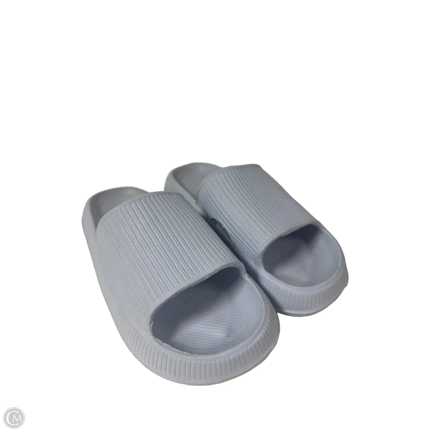 Sandals Sport By Clothes Mentor In Blue, Size: 7.5