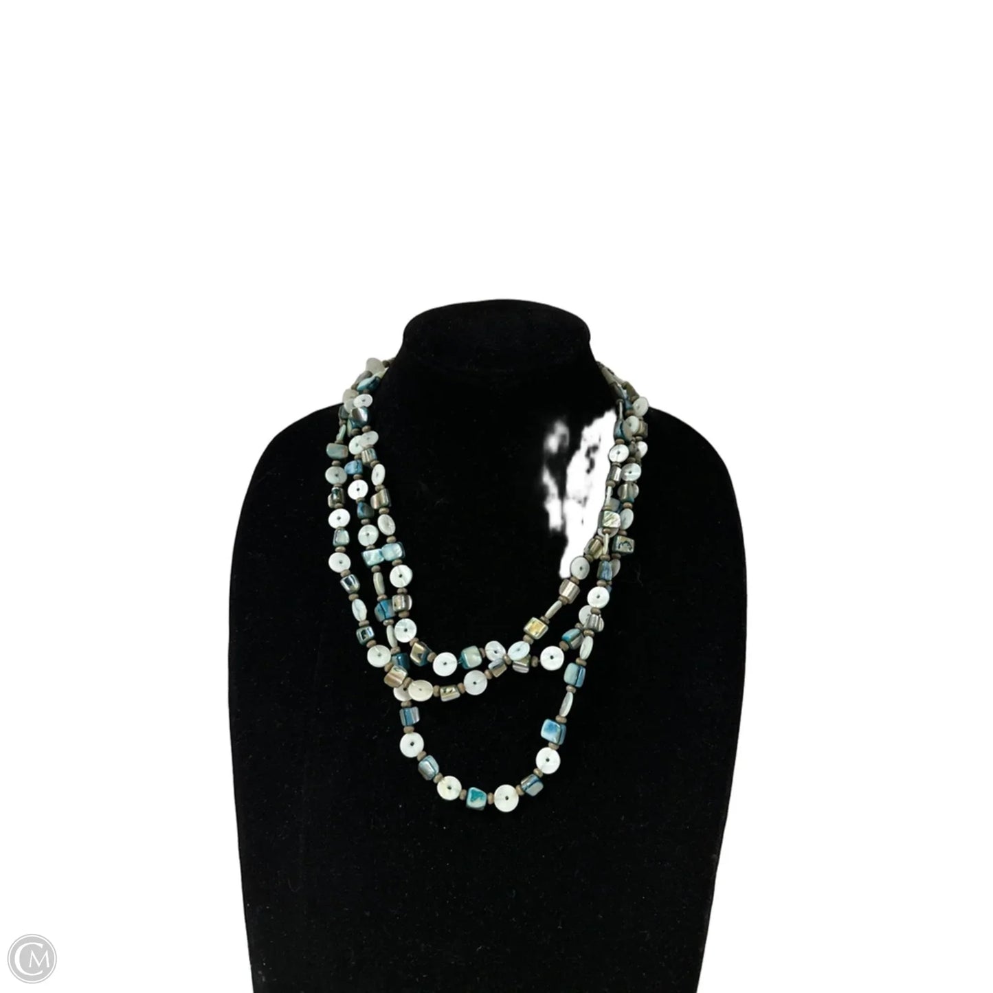 Necklace Layered By Clothes Mentor