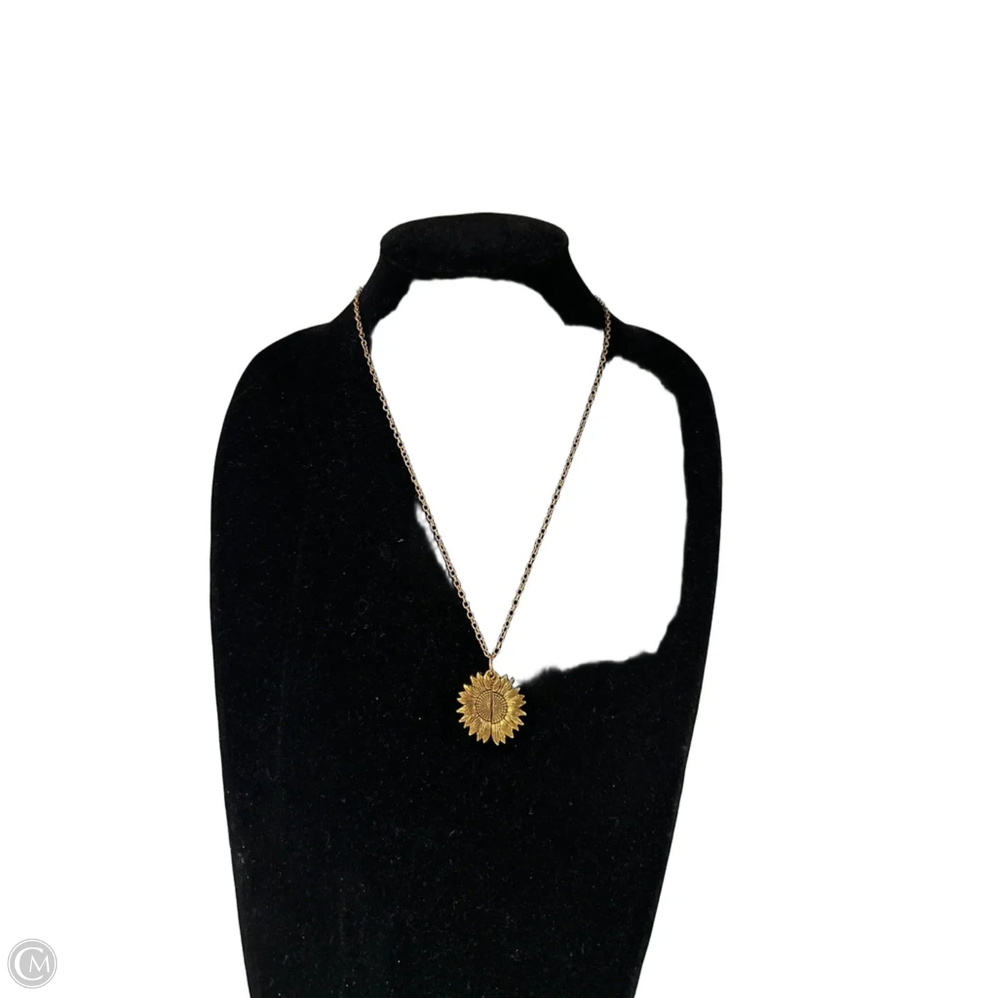 Necklace Pendant By Clothes Mentor