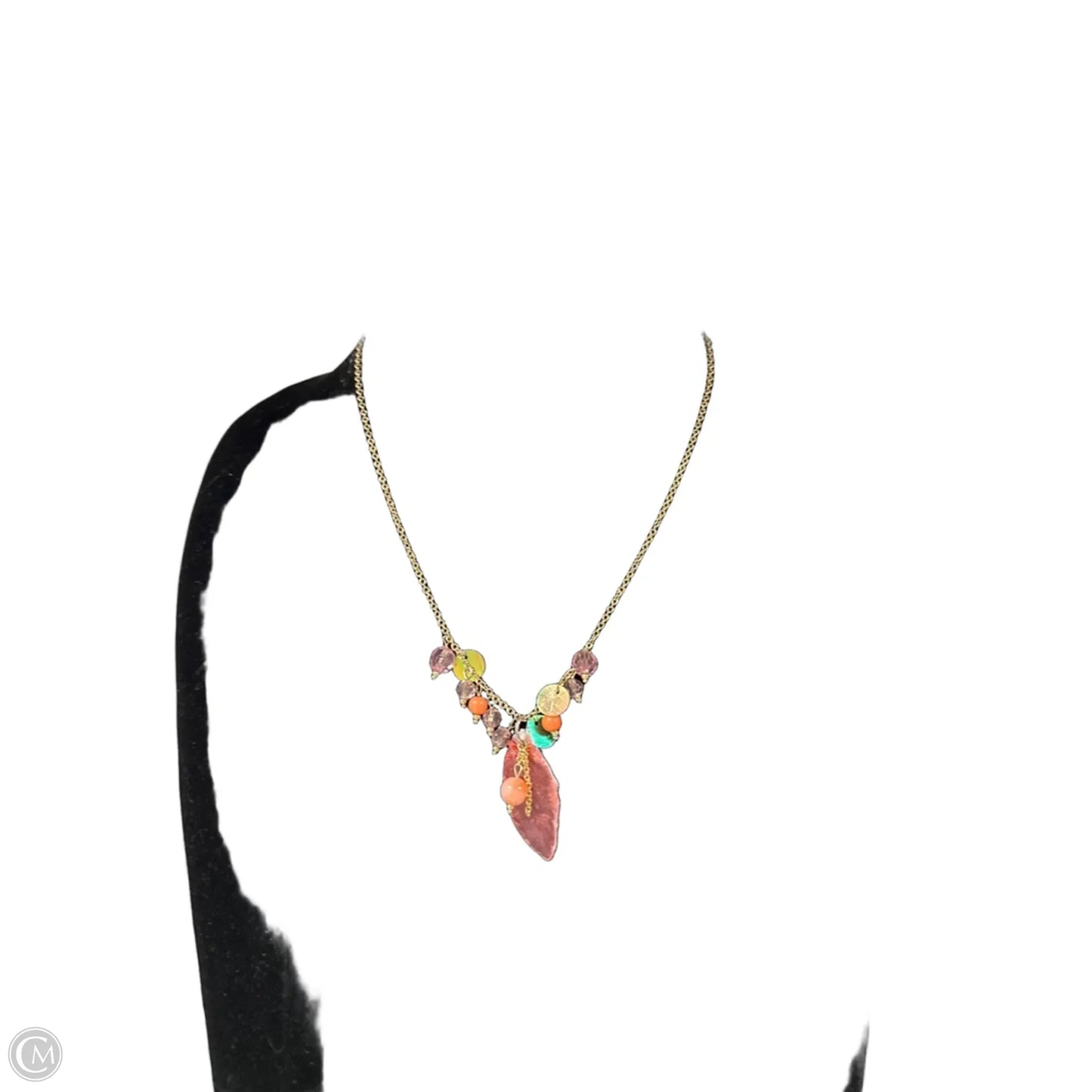 Necklace Chain By Clothes Mentor