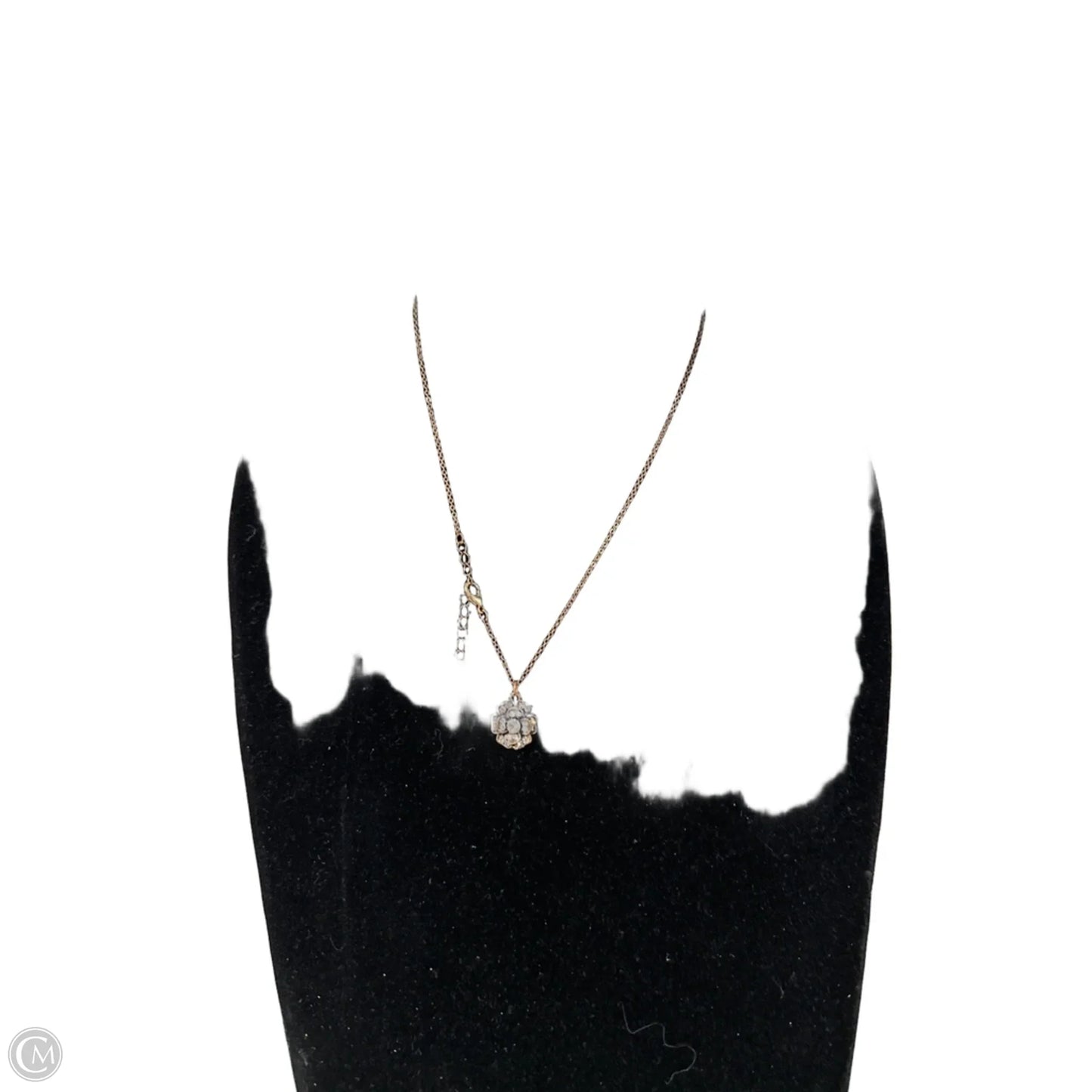 Necklace Pendant By Clothes Mentor