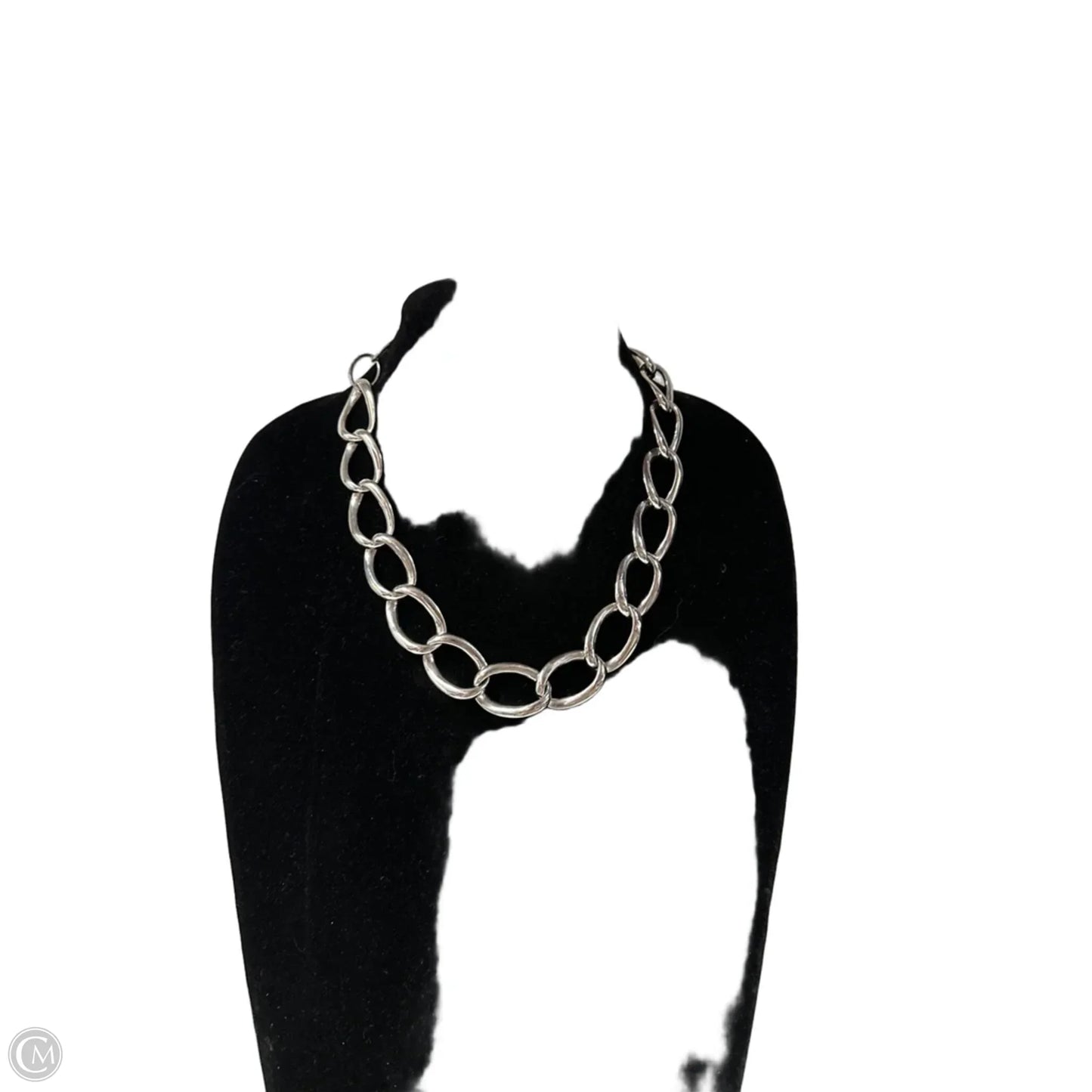 Necklace Chain By Clothes Mentor