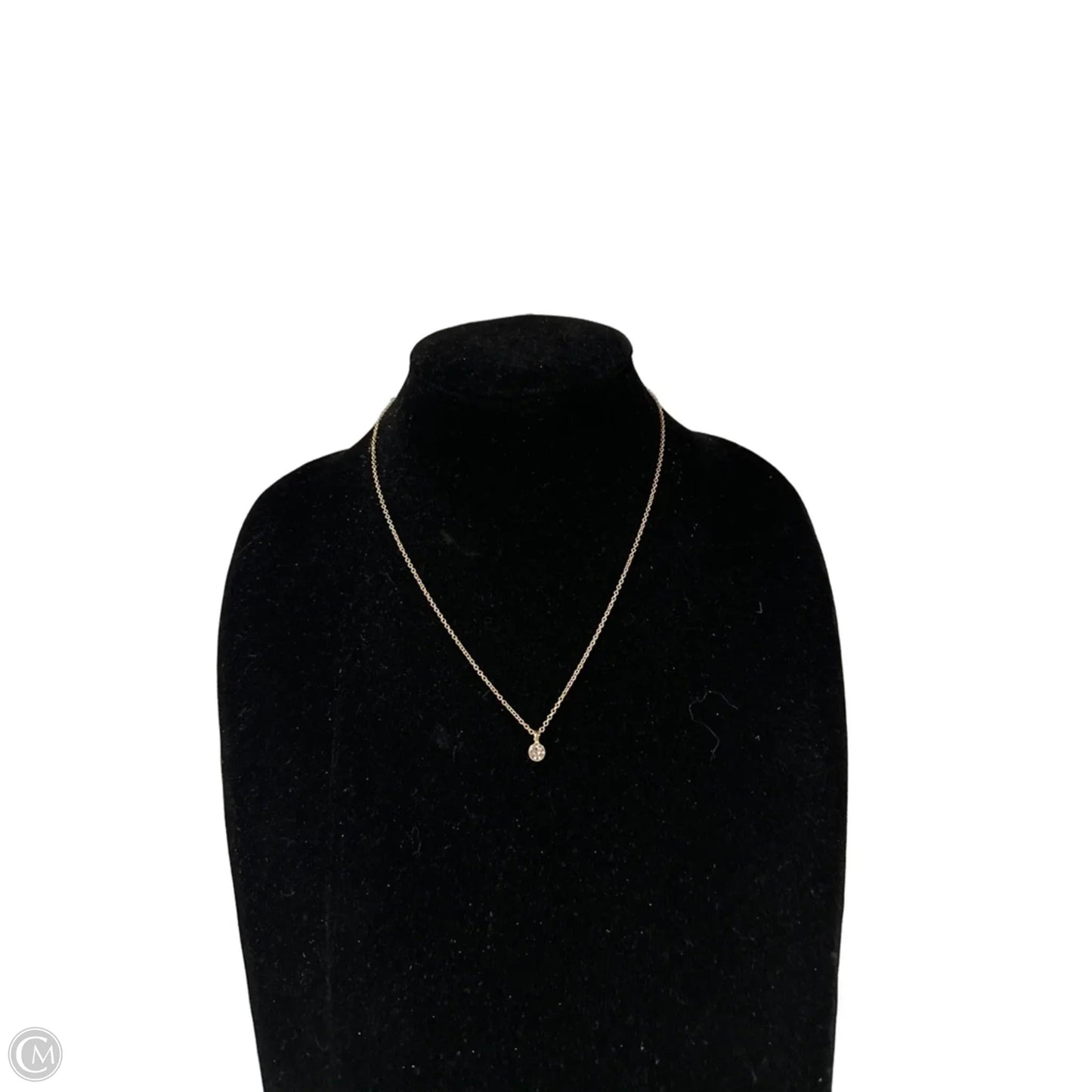 Necklace Chain By Clothes Mentor