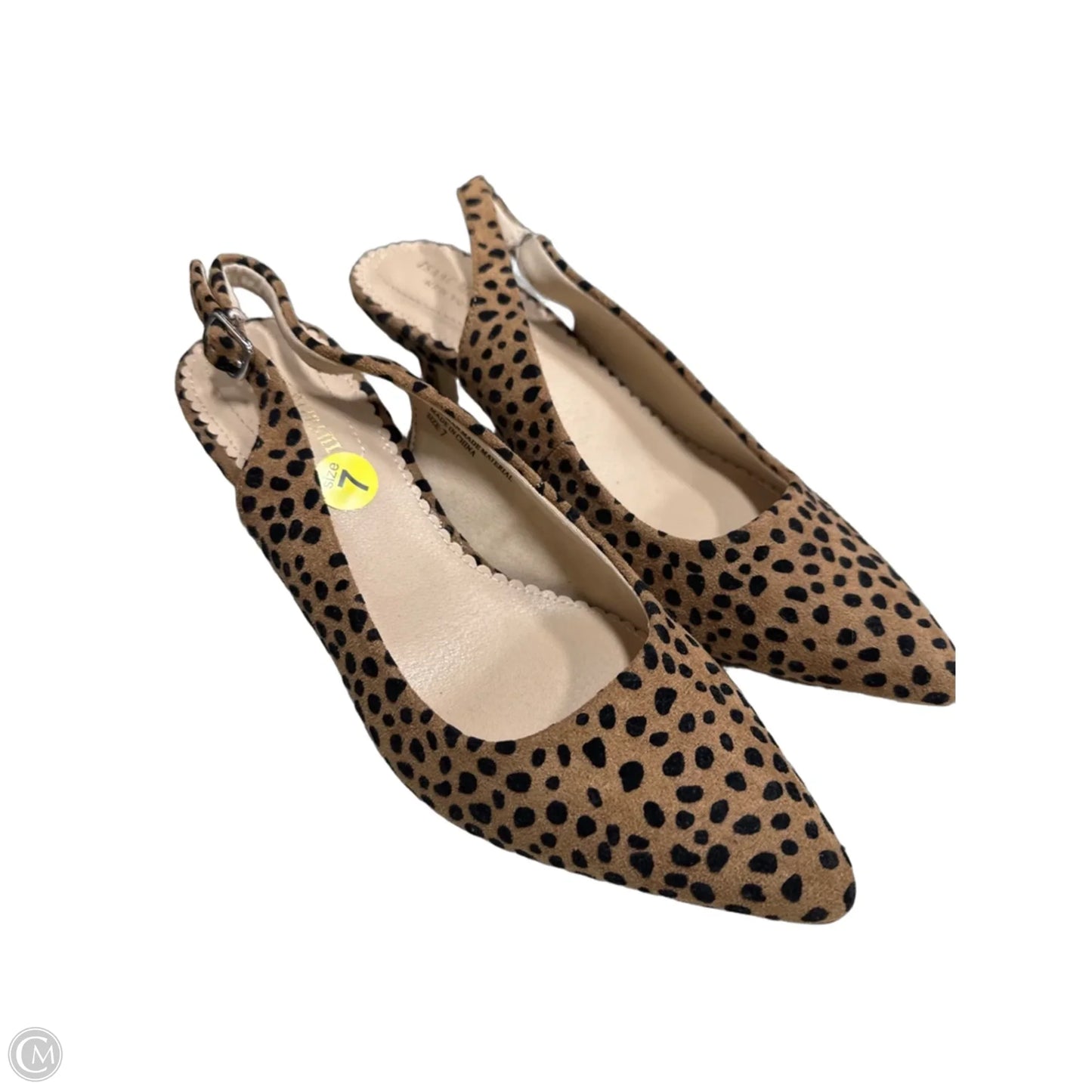 Shoes Heels Kitten By Isaac Mizrahi In Leopard Print, Size: 7
