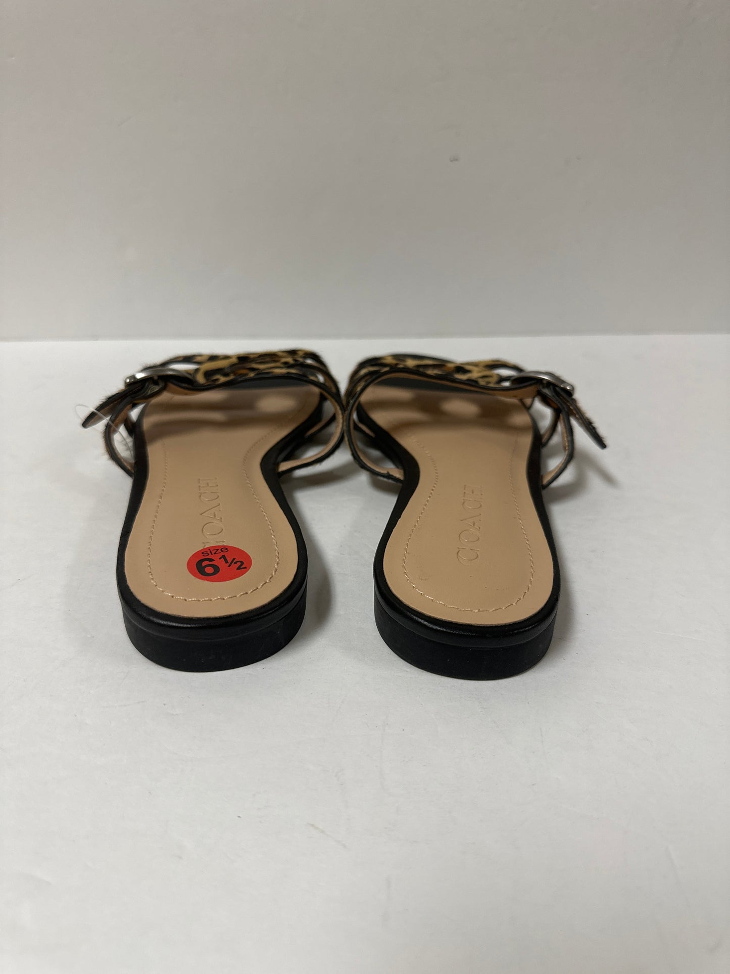 Sandals Designer By Coach  Size: 6.5