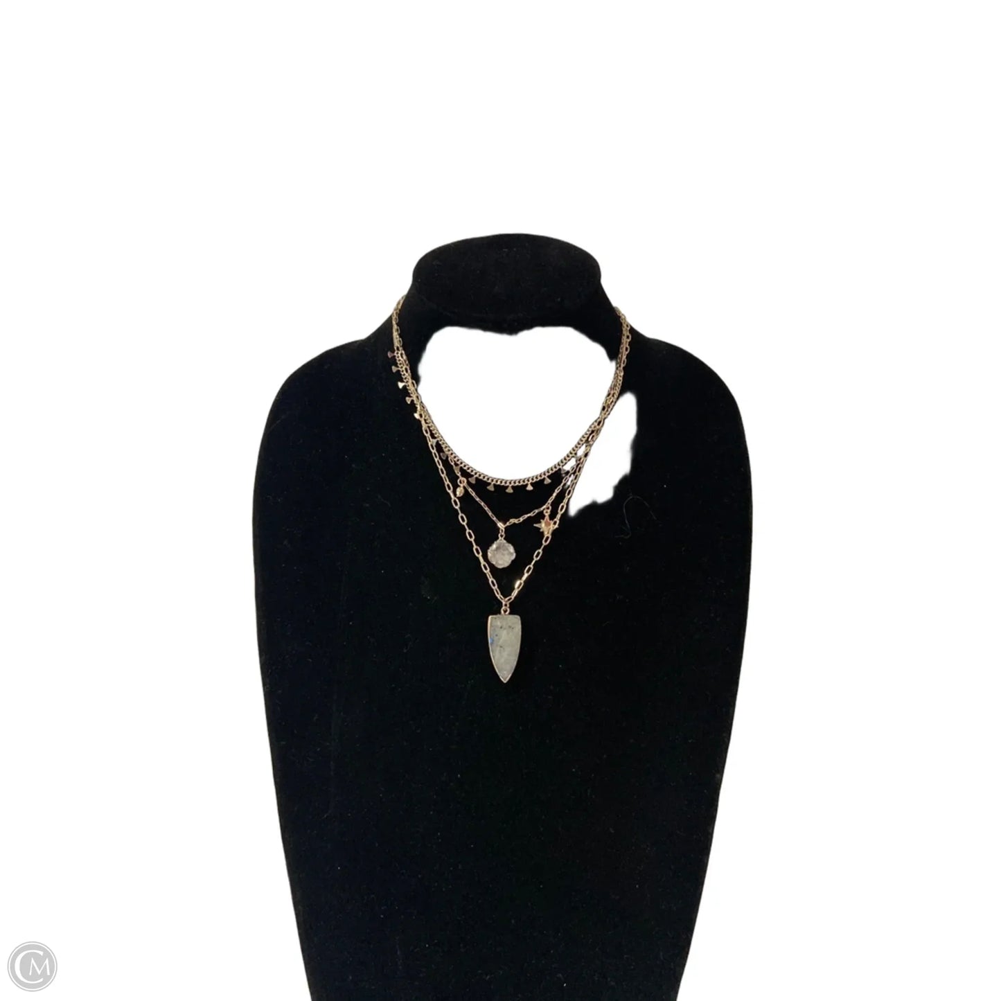 Necklace Layered By Express, Size: 1