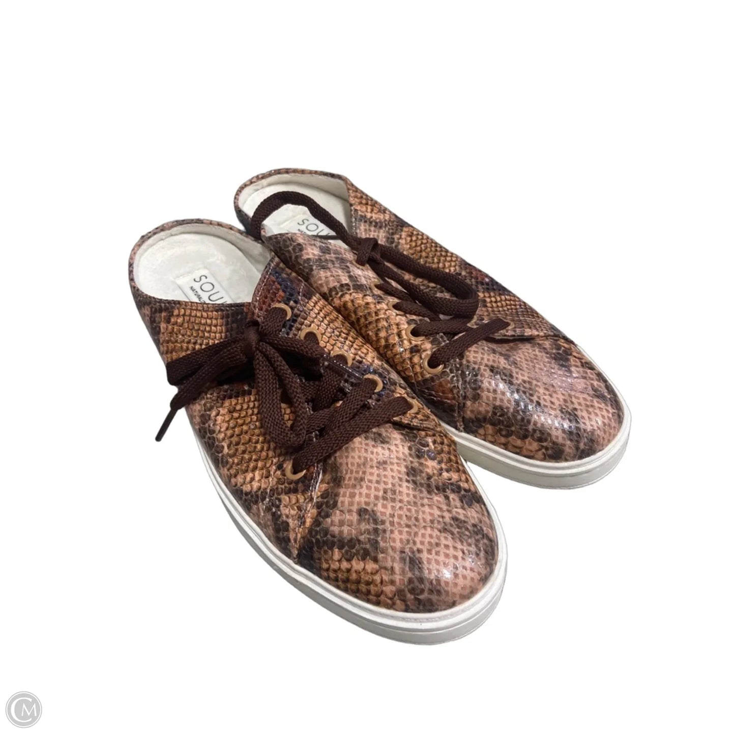 Shoes Flats By Naturalizer In Snakeskin Print, Size: 8.5