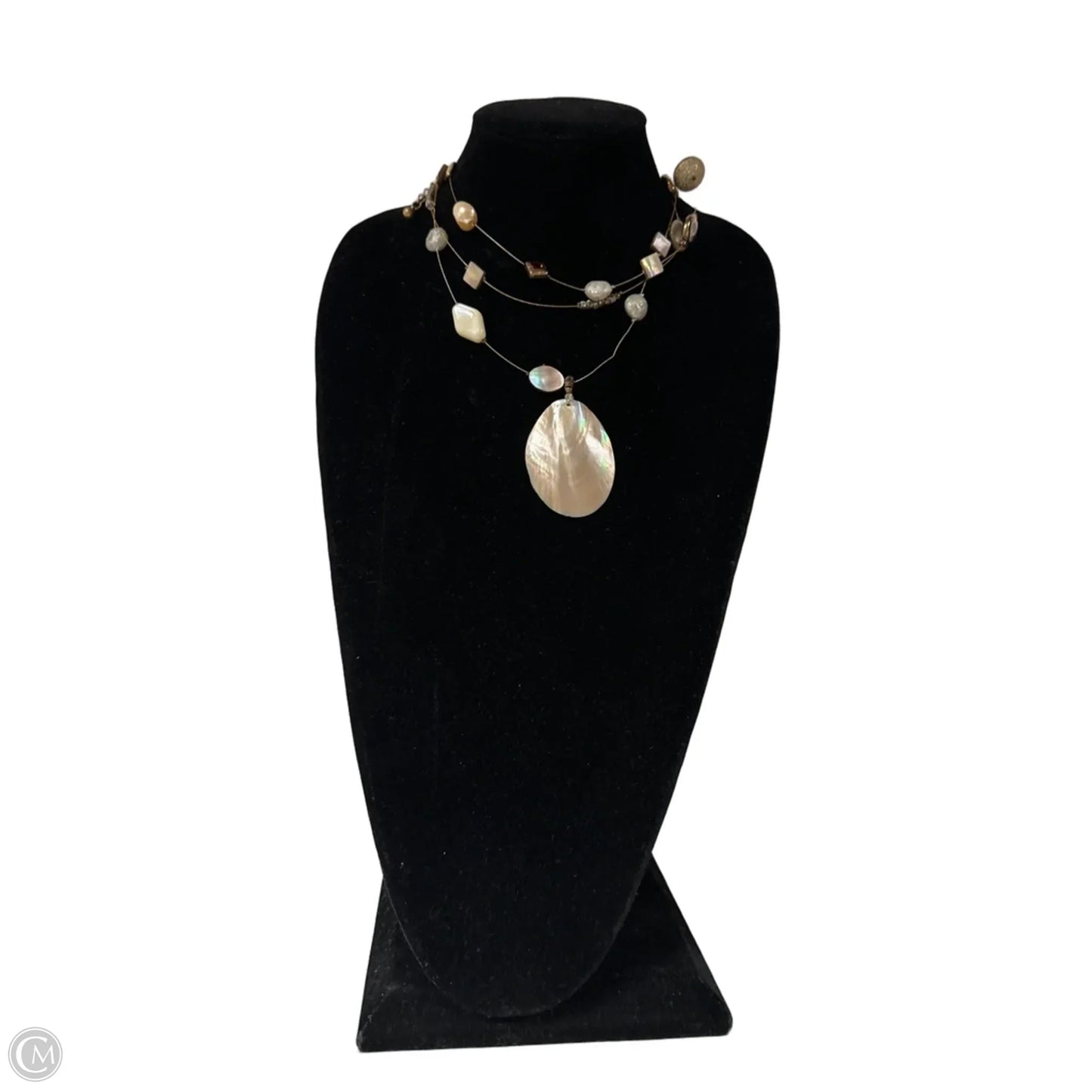 Necklace Layered By Clothes Mentor