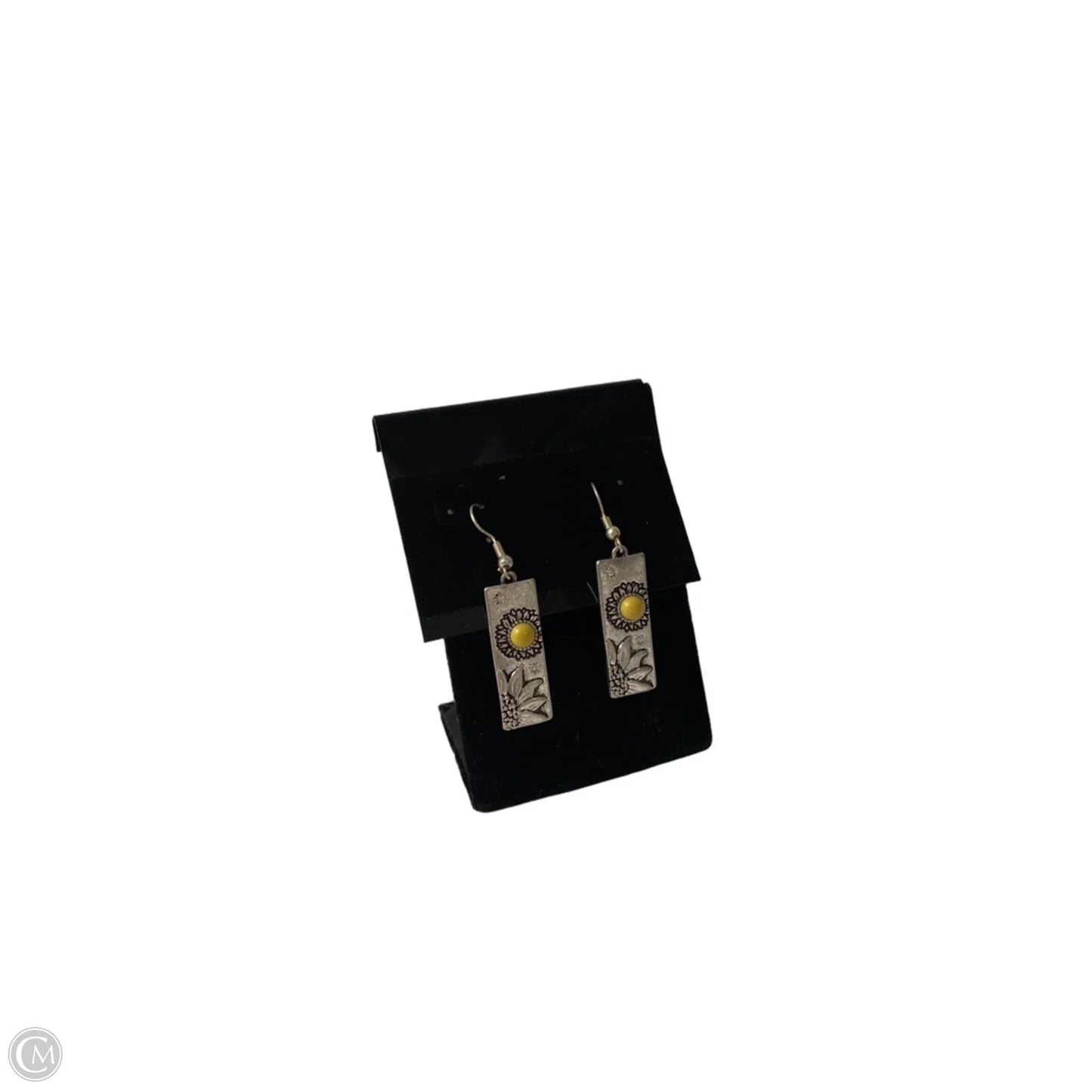 Earrings Dangle/drop By Clothes Mentor