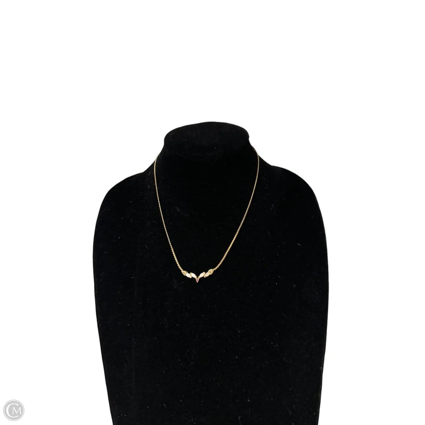 Necklace Chain By Clothes Mentor