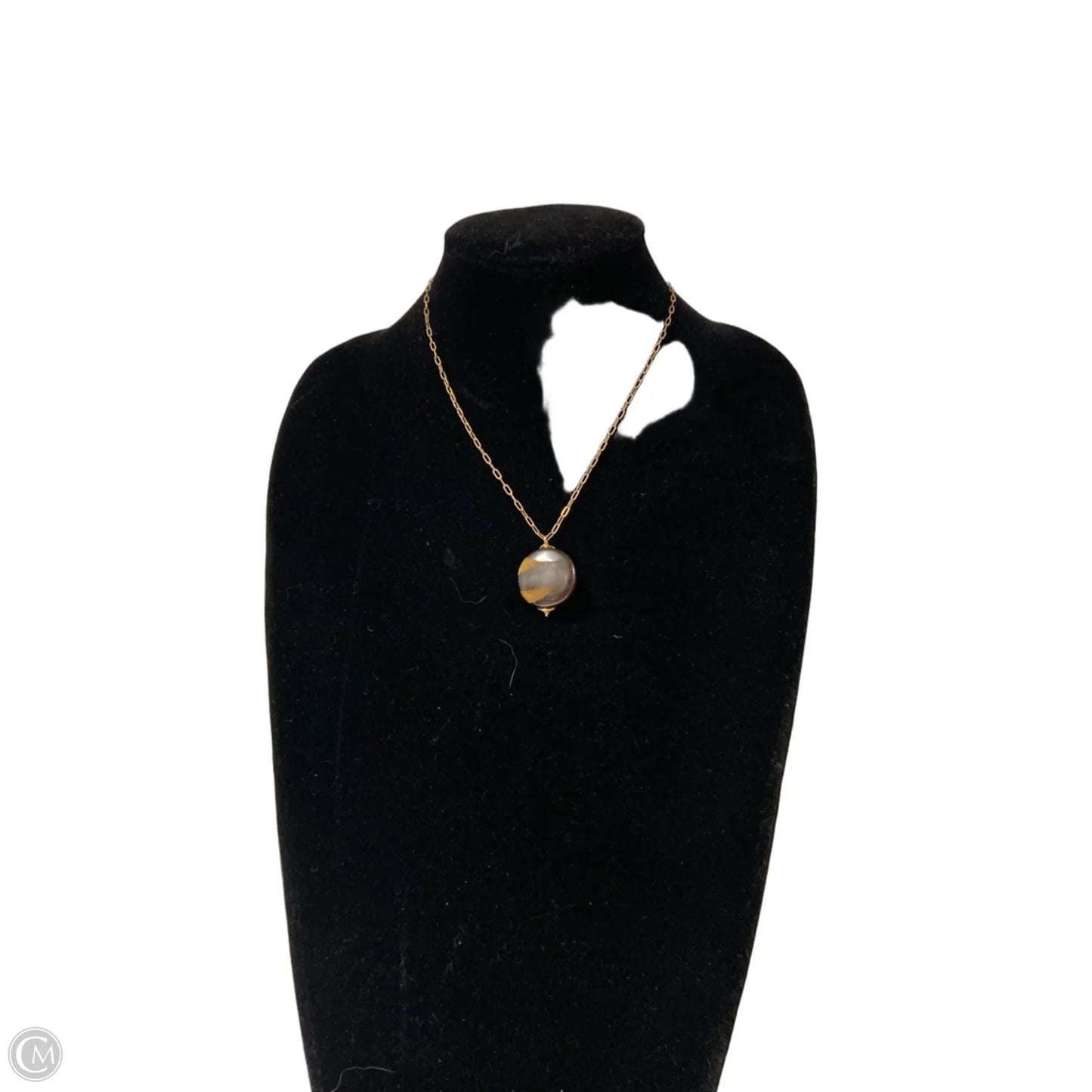 Necklace Pendant By Clothes Mentor, Size: 1