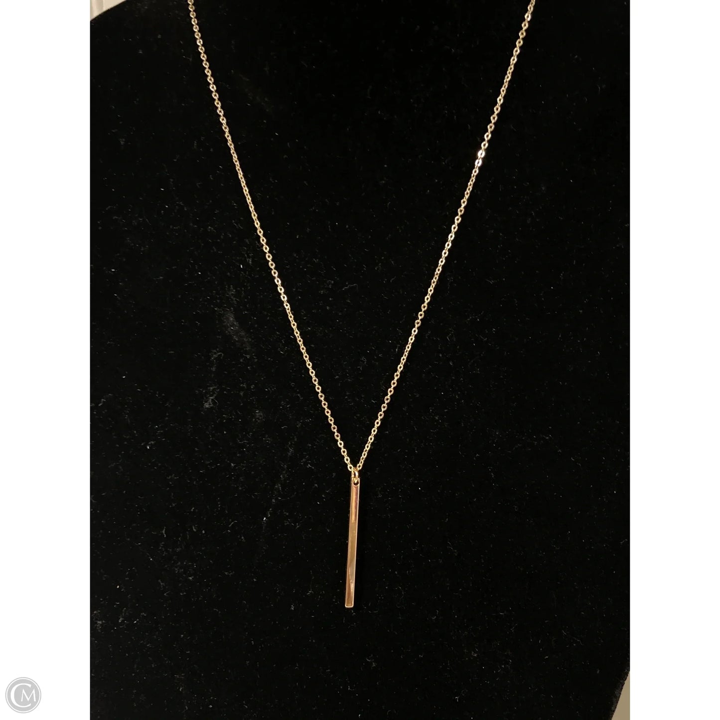 Necklace Chain By Clothes Mentor