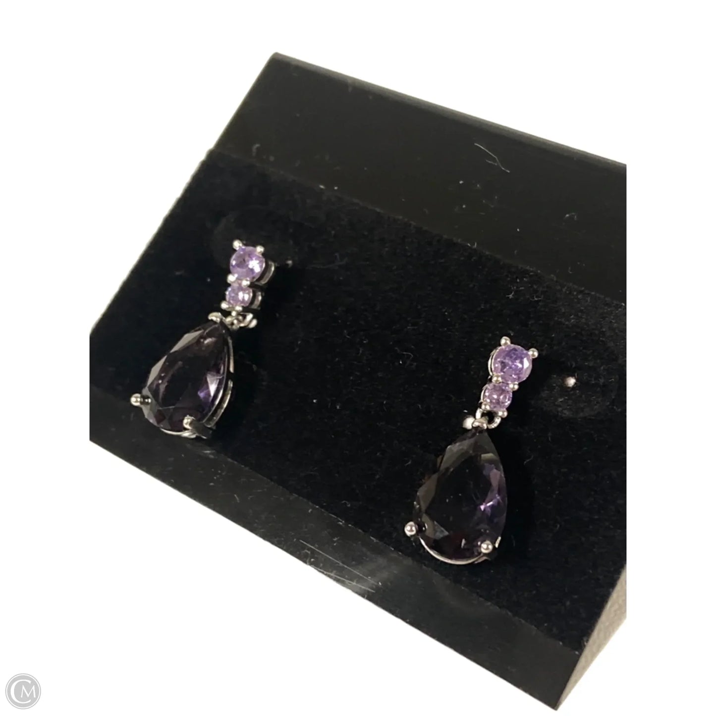 Earrings Dangle/drop By Clothes Mentor