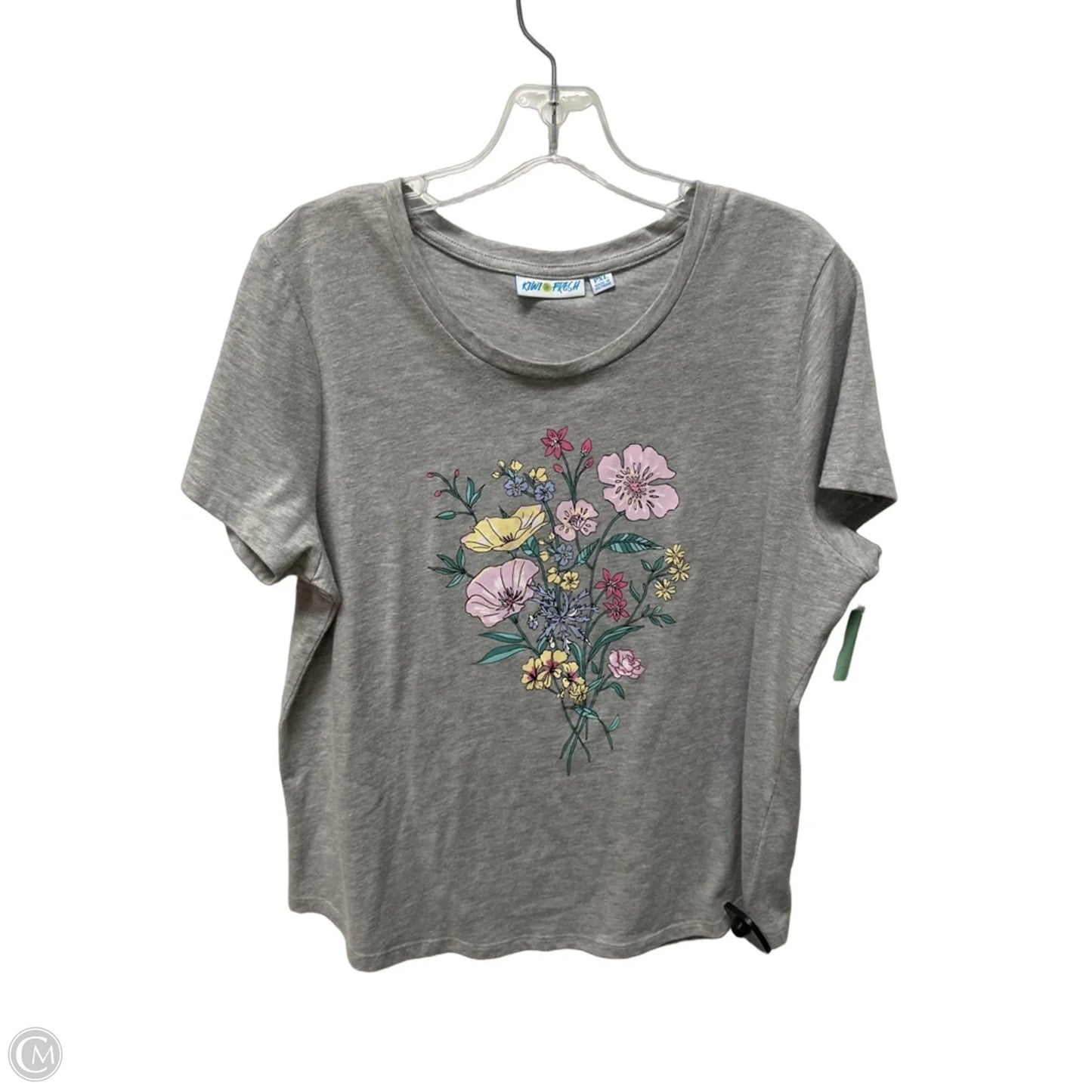 Top Short Sleeve By Clothes Mentor In Grey, Size: Xl