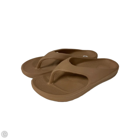 Sandals Flip Flops By Clothes Mentor In Brown, Size: 9.5