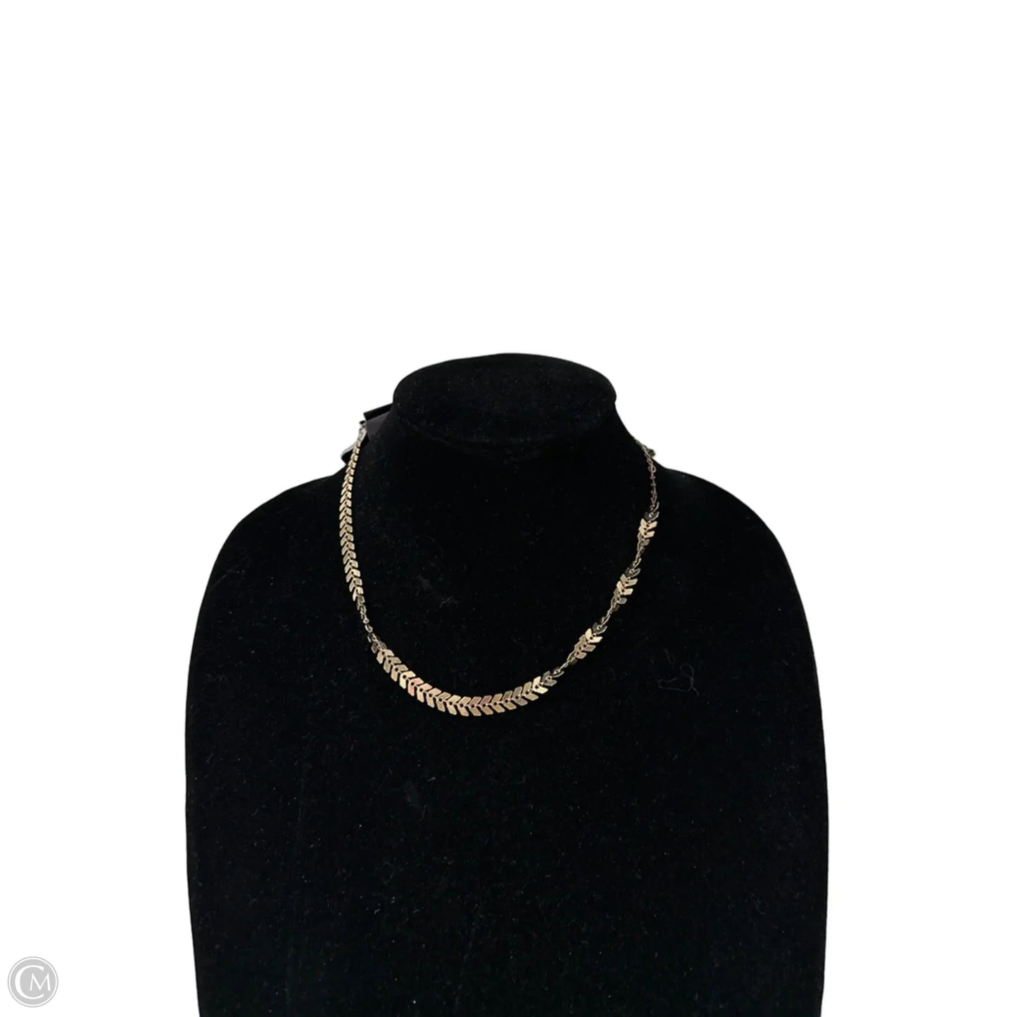 Necklace Chain By Clothes Mentor