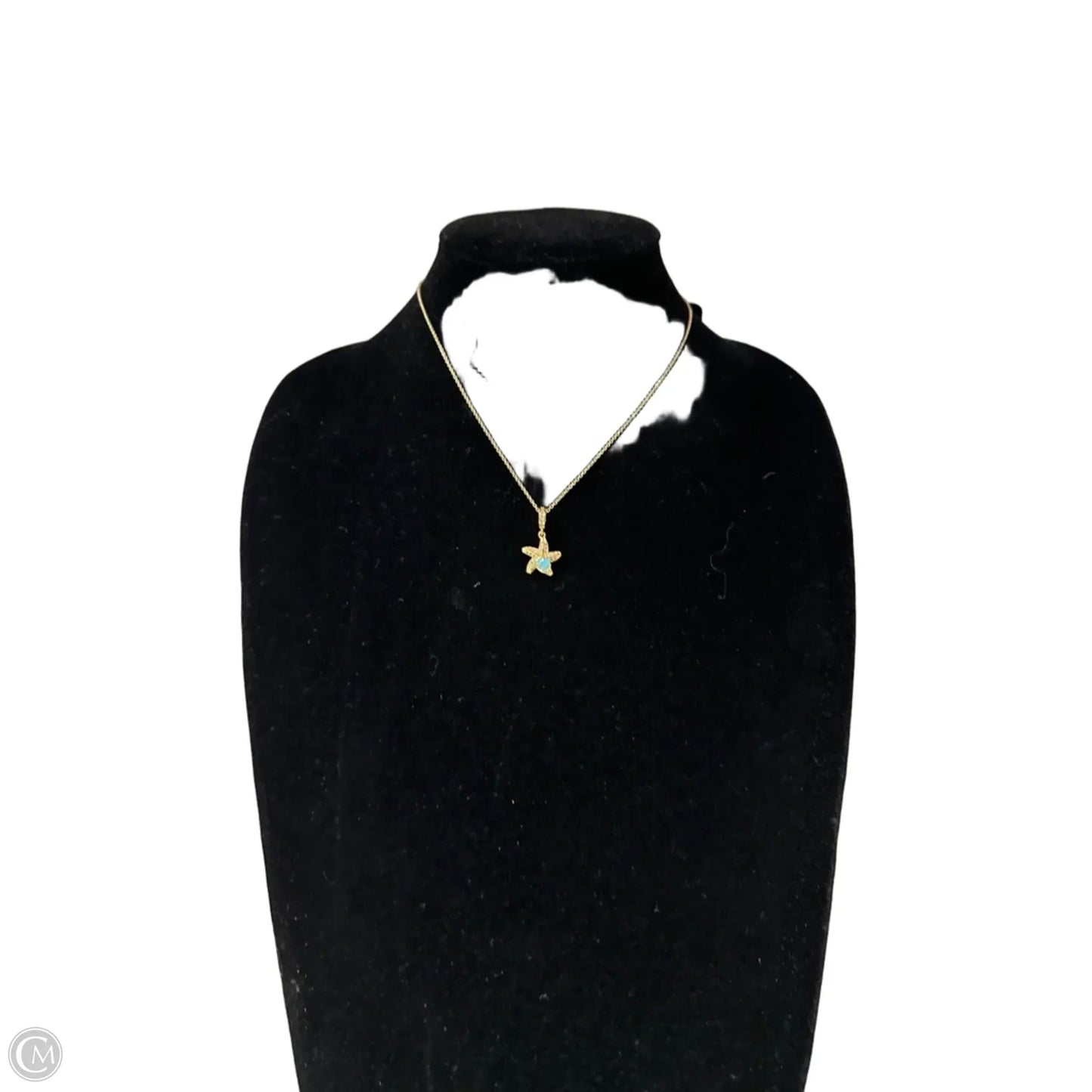 Necklace Pendant By Clothes Mentor, Size: 1