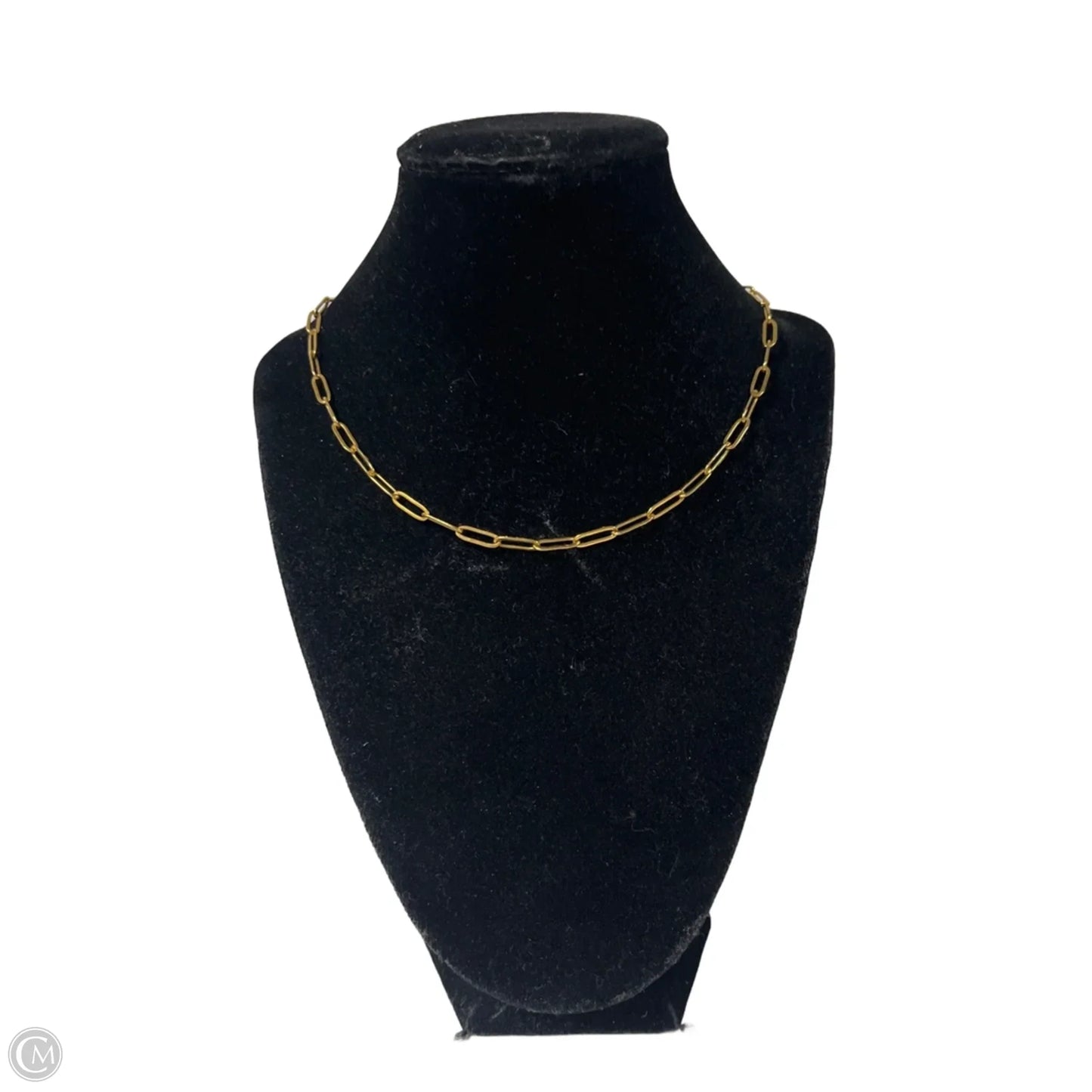 Necklace Chain By Clothes Mentor, Size: 1