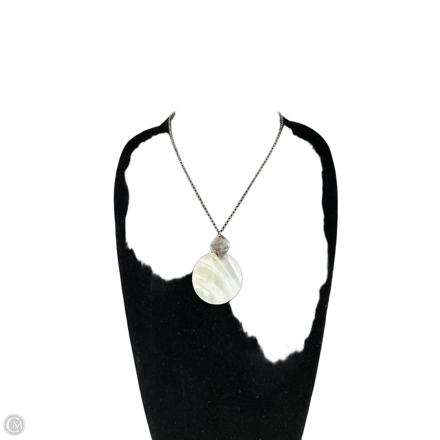 Necklace Pendant By Clothes Mentor