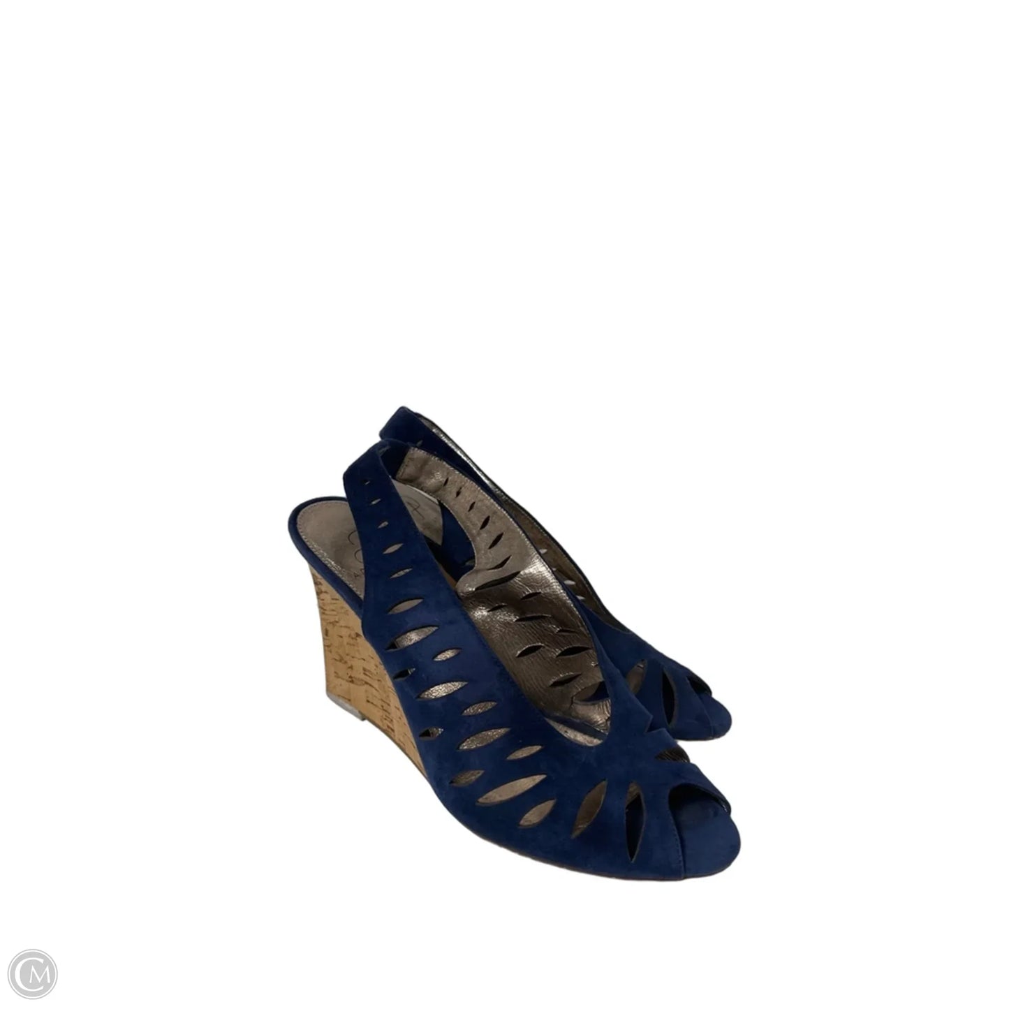Sandals Heels Platform By Adrianna Papell In Blue, Size: 8
