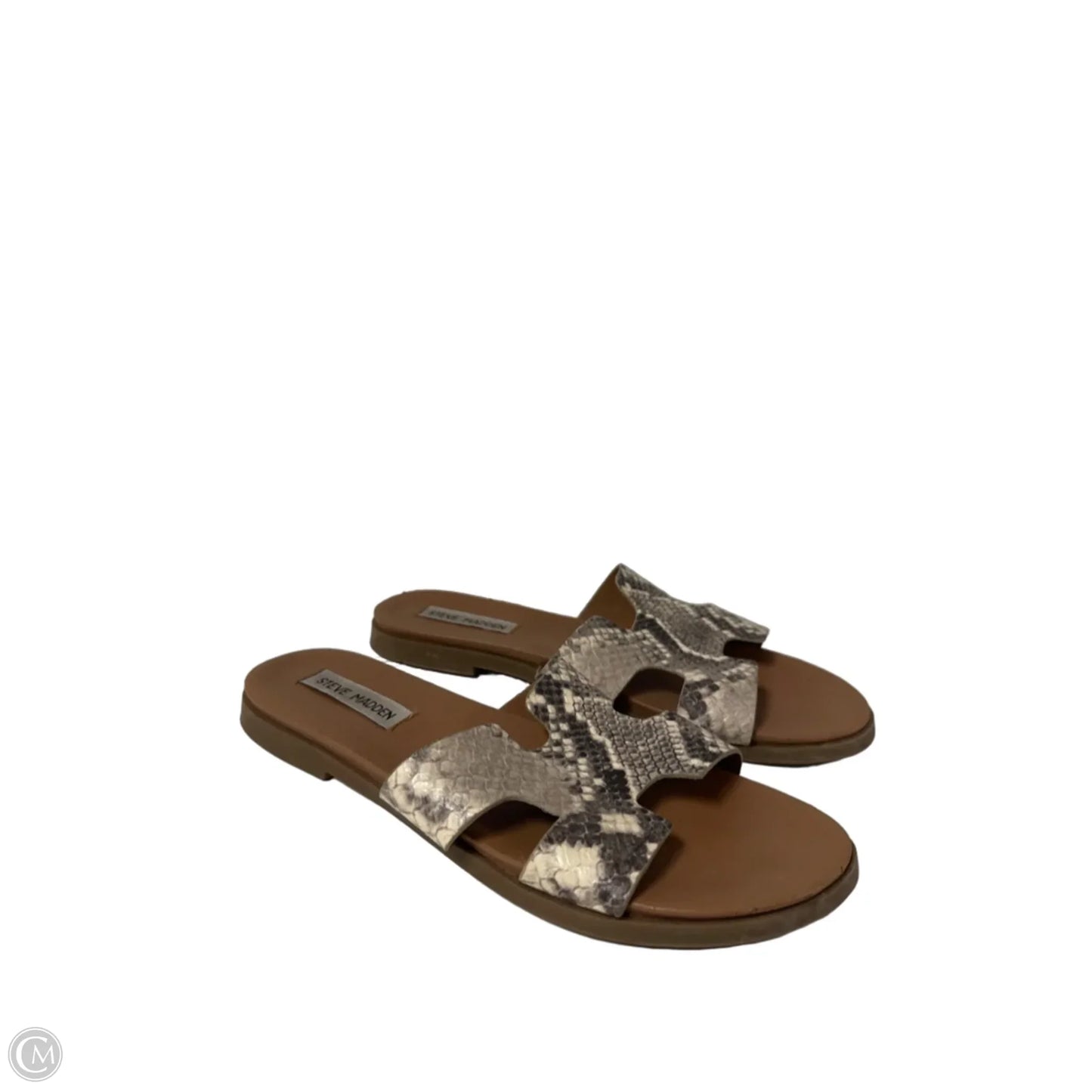 Sandals Flats By Steve Madden In Snakeskin Print, Size: 7