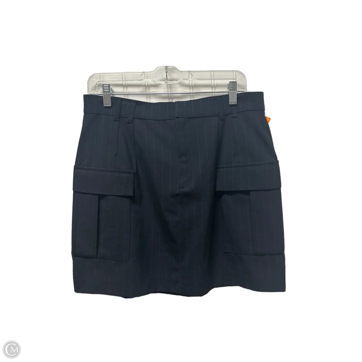 Skirt Mini & Short By Zara In Navy, Size: 14l