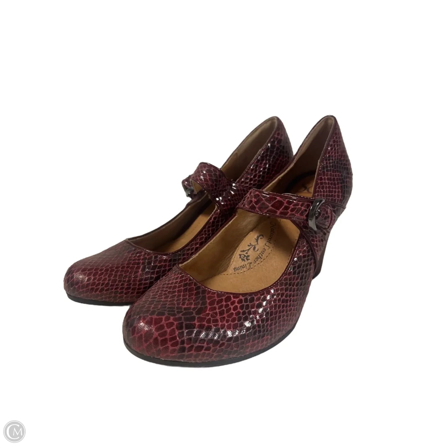 Shoes Heels Block By Sofft In Snakeskin Print, Size: 7