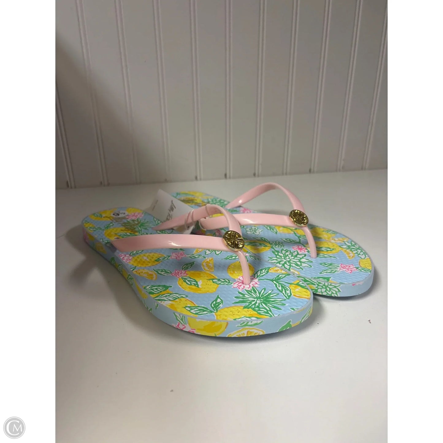 Sandals Designer By Lilly Pulitzer In Blue & Pink, Size: 9.5