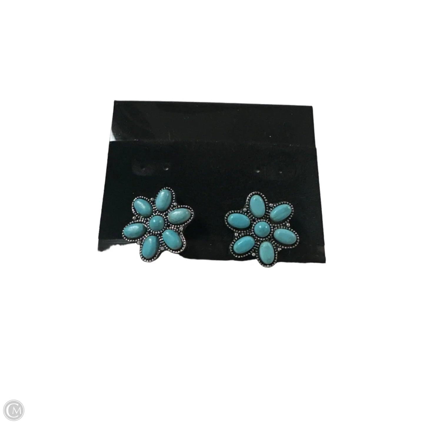 Earrings Stud By Clothes Mentor, Size: 2