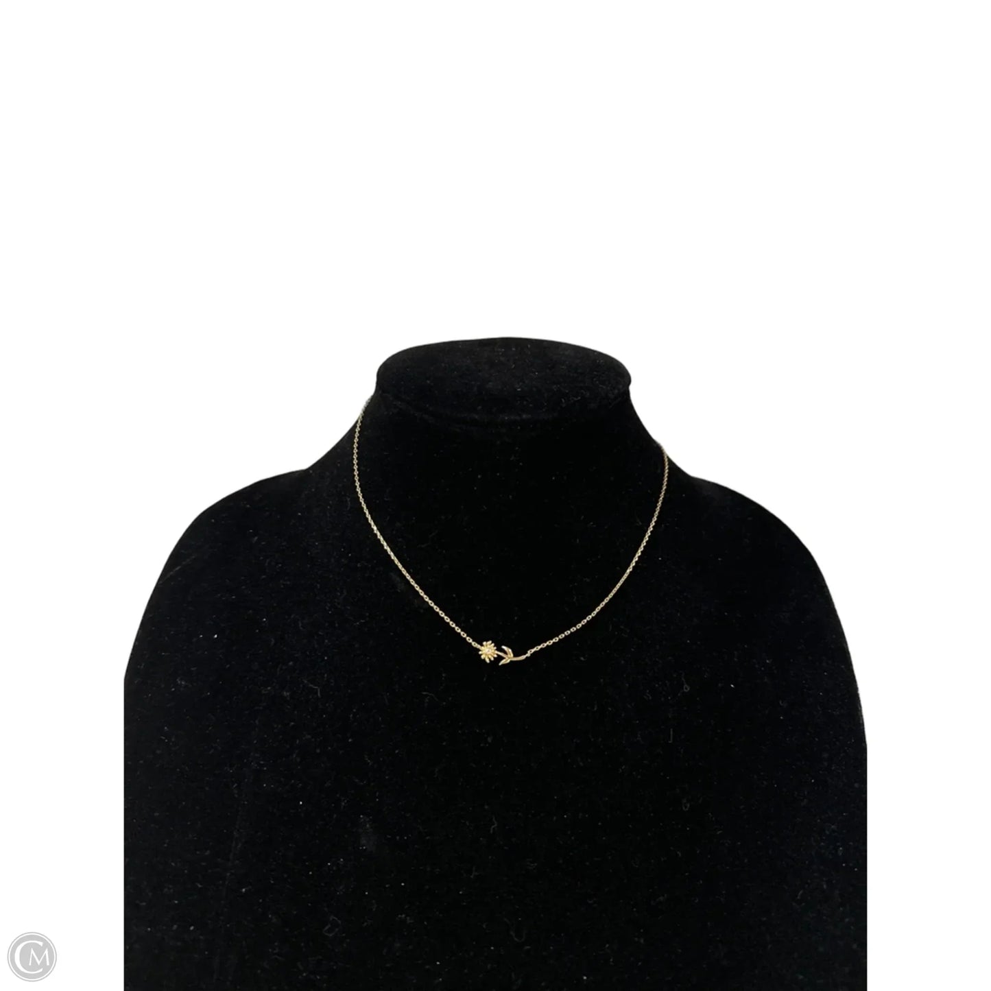 Necklace Other By Clothes Mentor, Size: 1