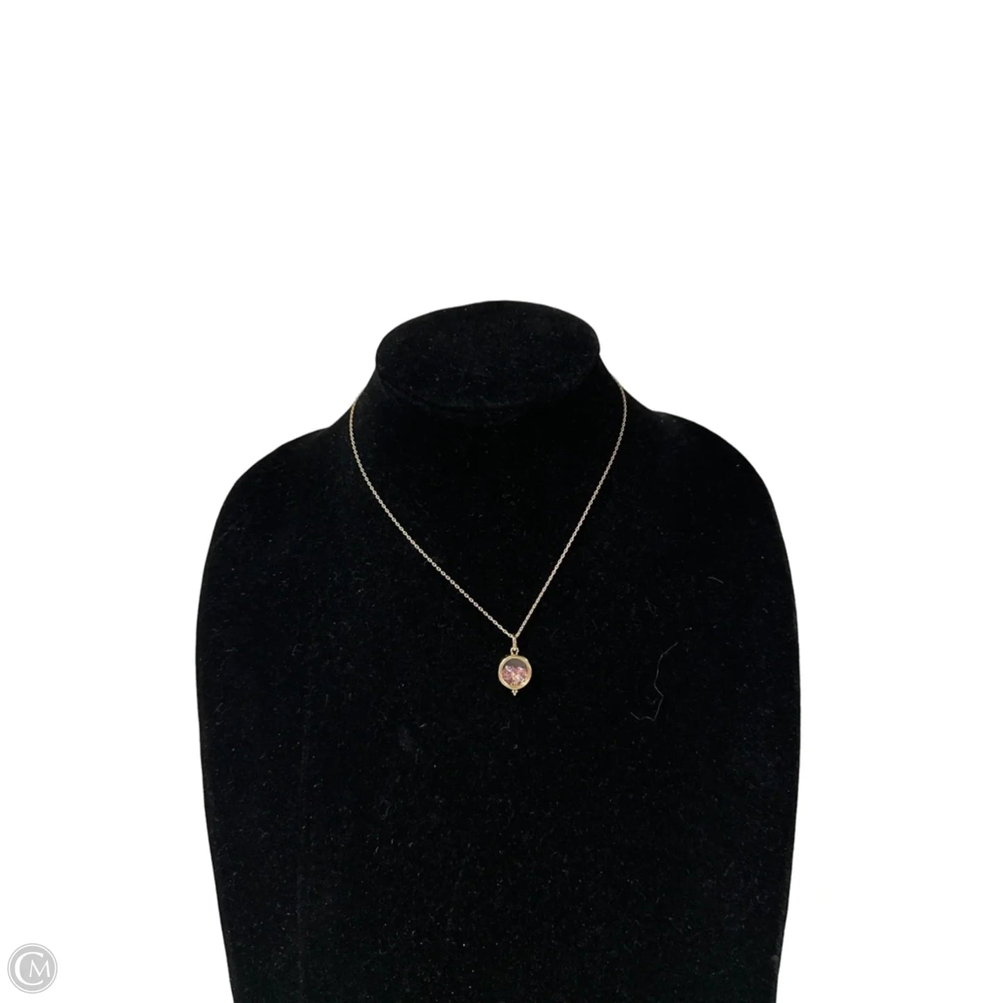 Necklace Charm By Clothes Mentor, Size: 1