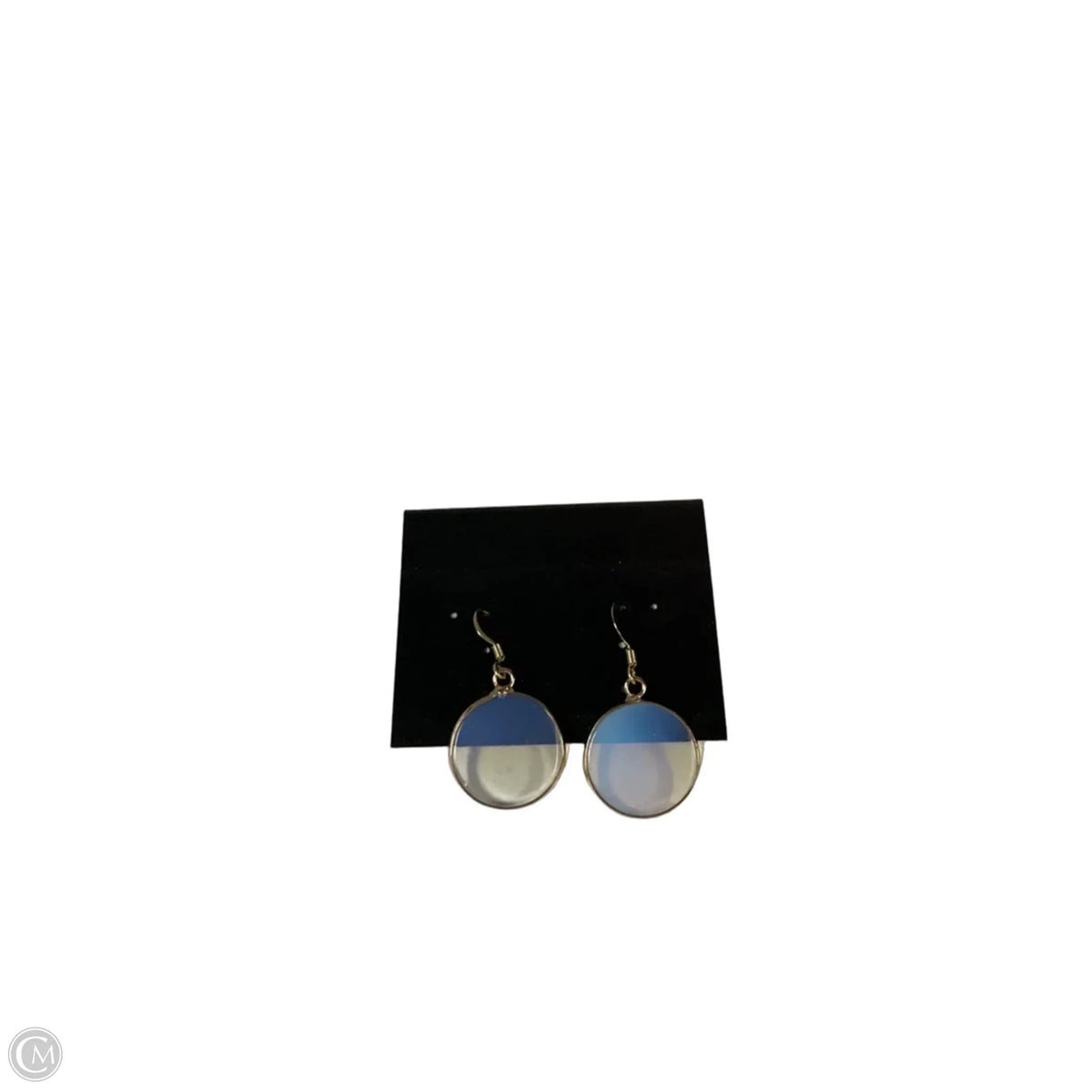 Earrings Dangle/drop By Clothes Mentor, Size: 1