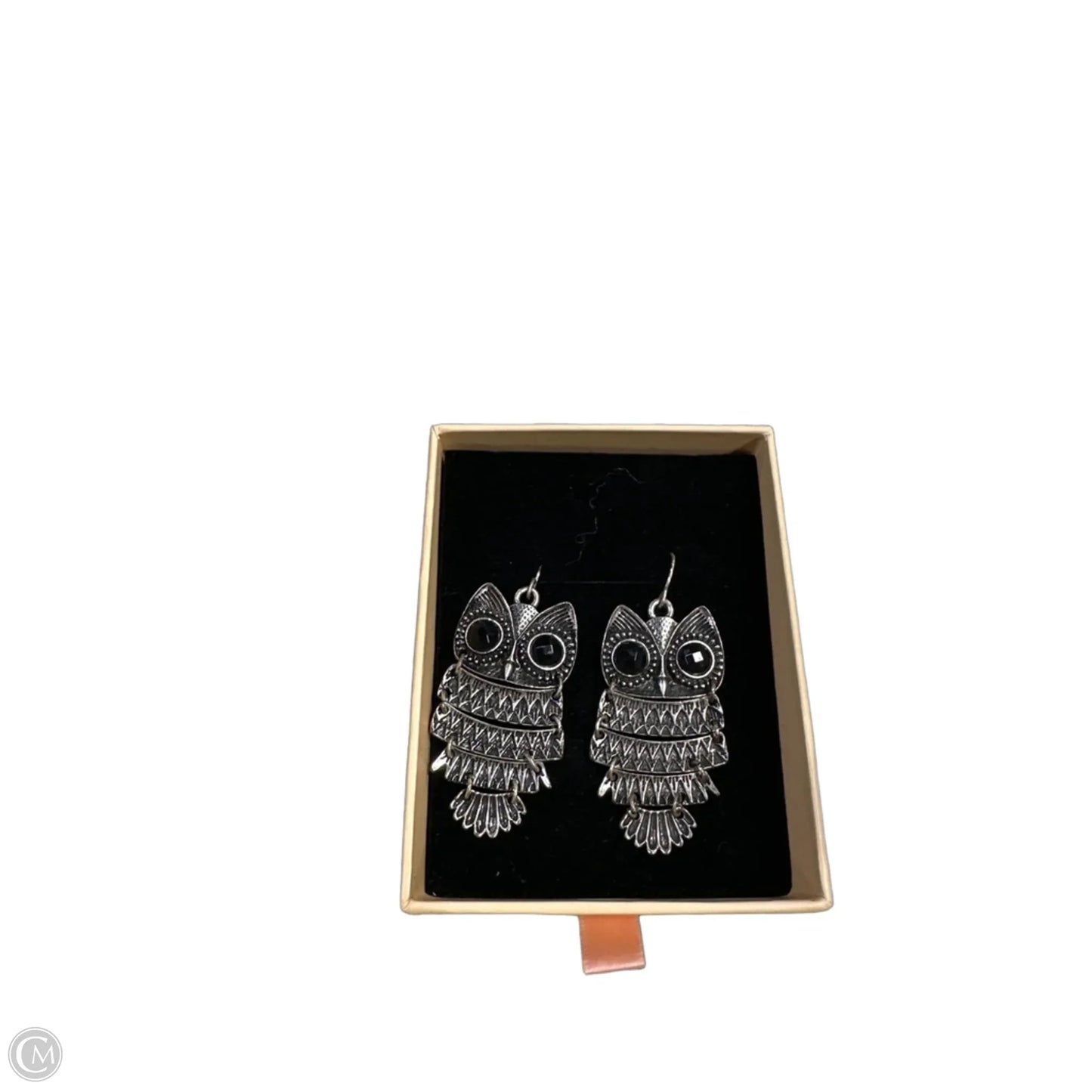 Earrings Dangle/drop By Clothes Mentor, Size: 1