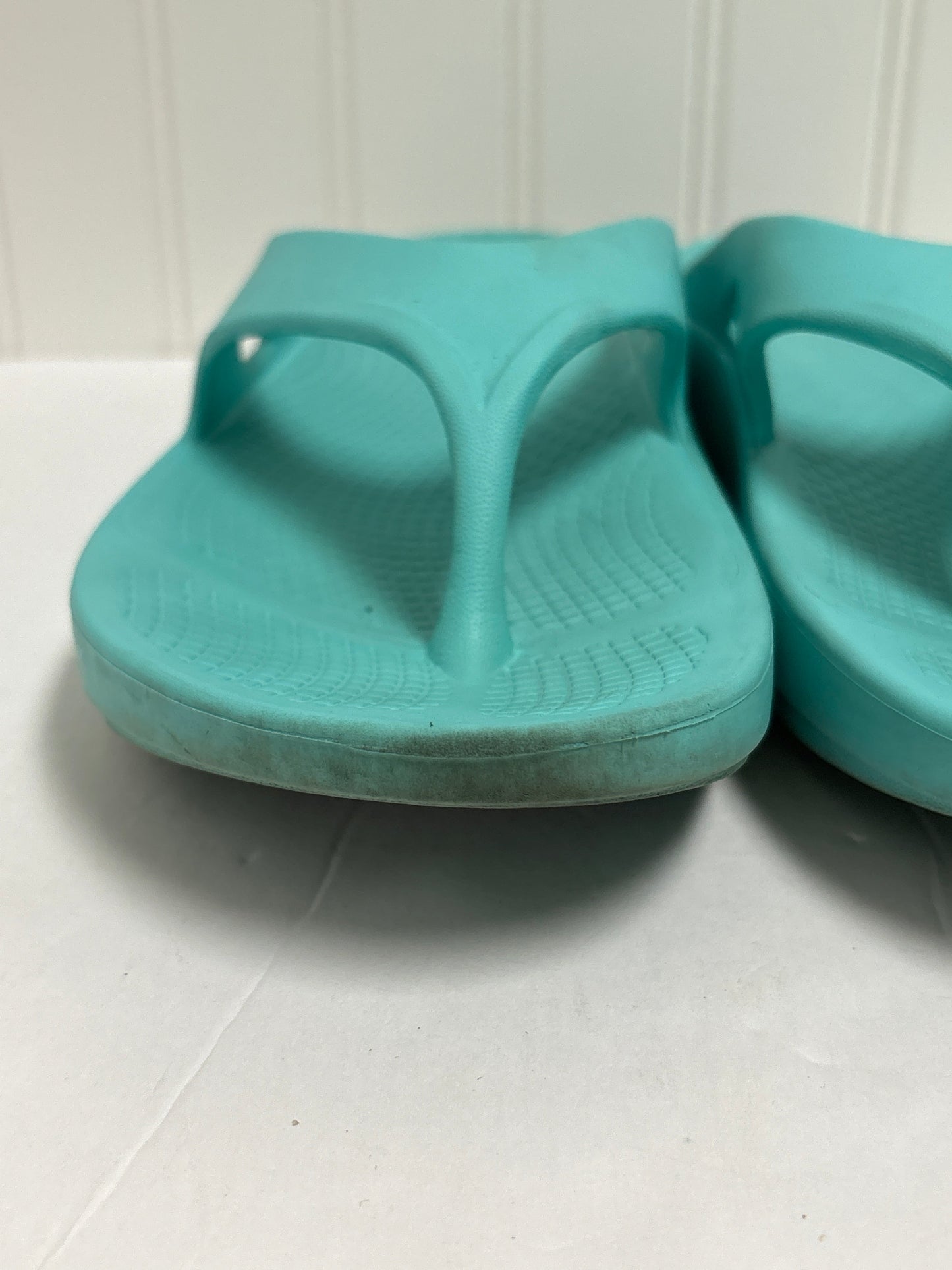 Aqua Sandals Flip Flops Clothes Mentor, Size 9