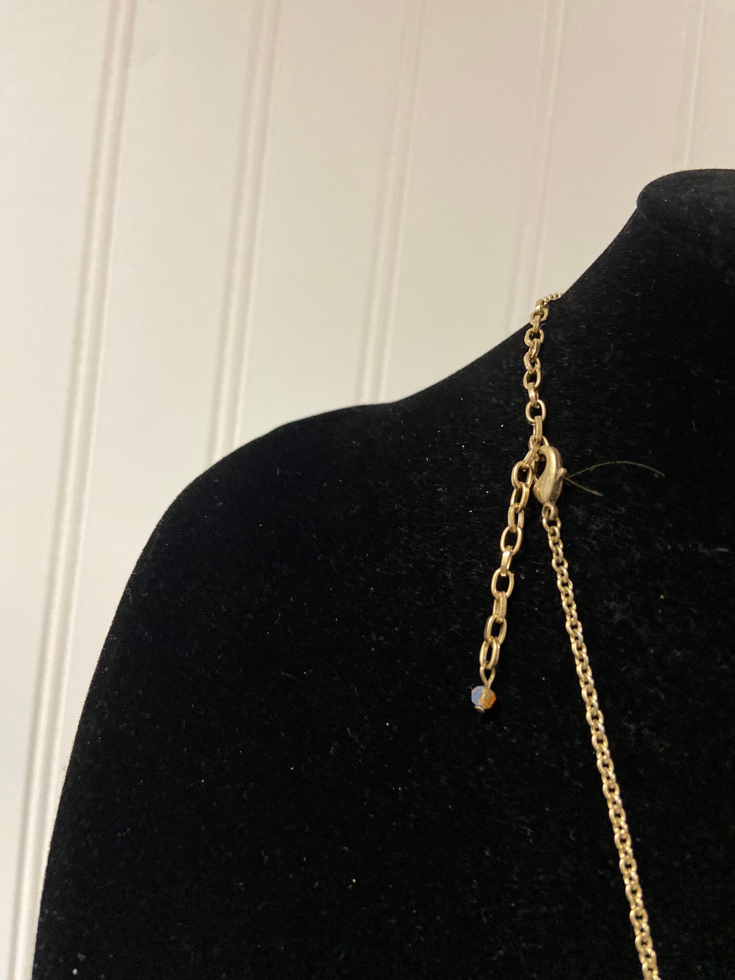 Necklace Pendant Clothes Mentor, Size 1