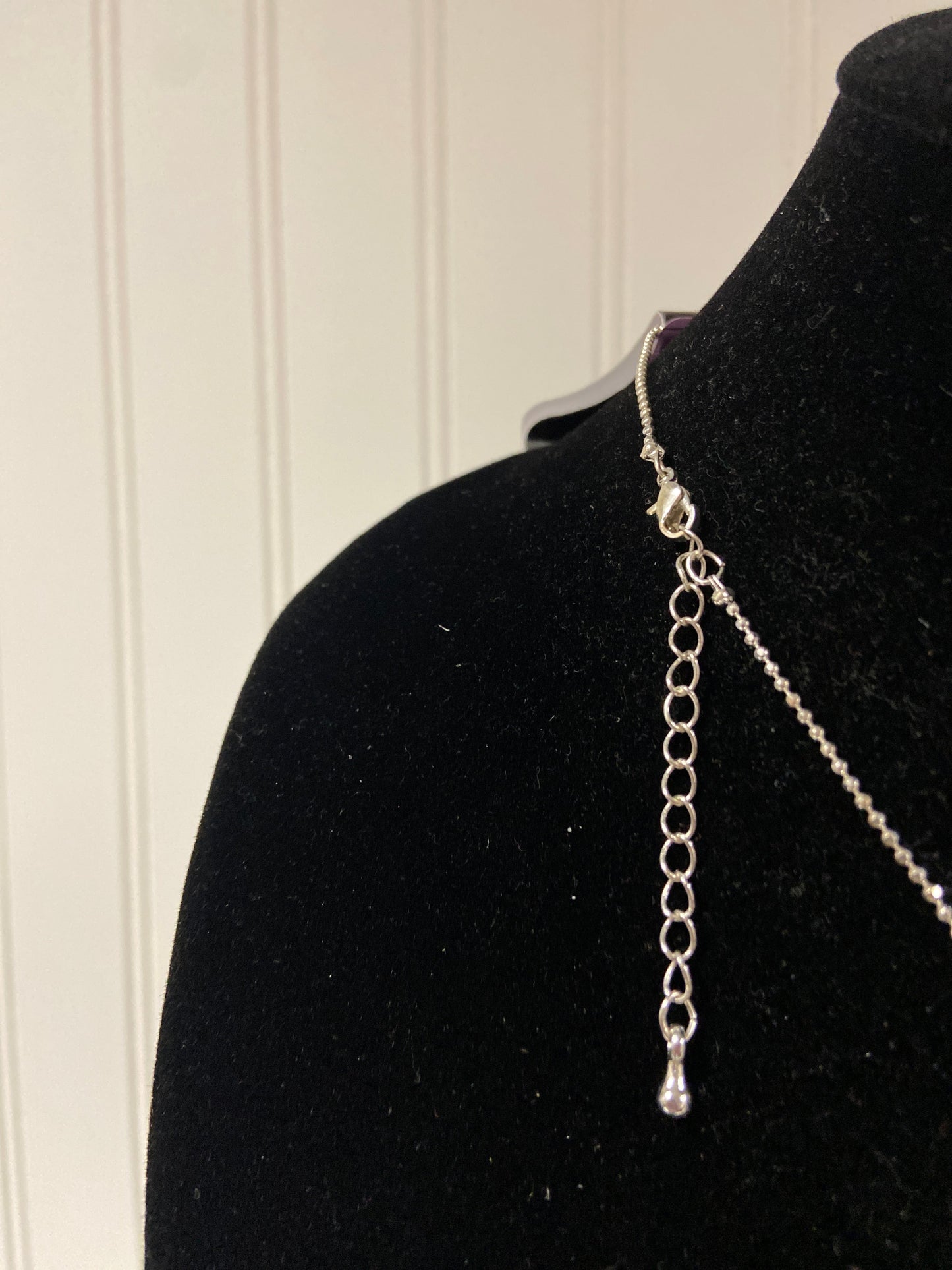 Necklace Chain Clothes Mentor, Size 1