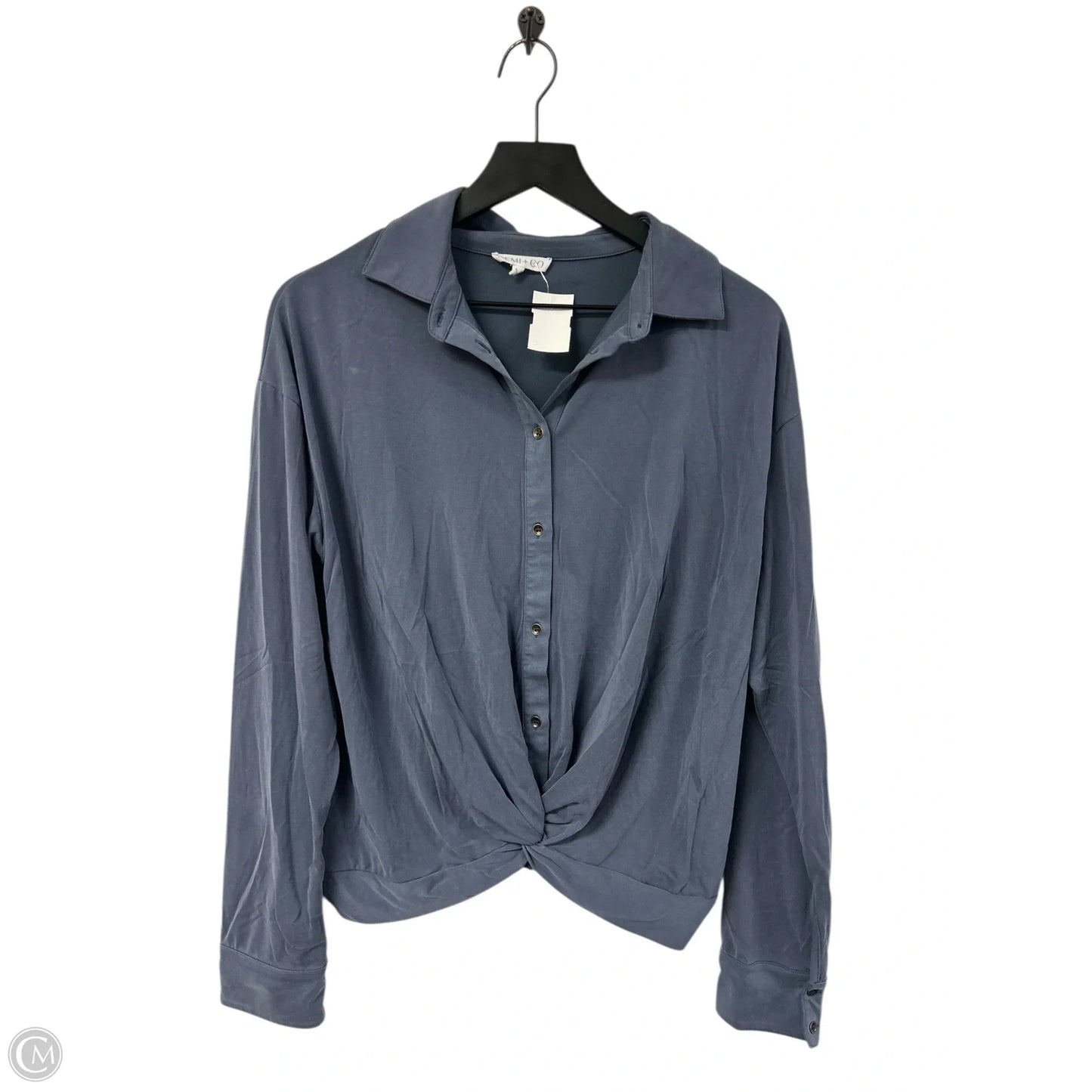 Blouse Long Sleeve By Clothes Mentor In Blue, Size: M