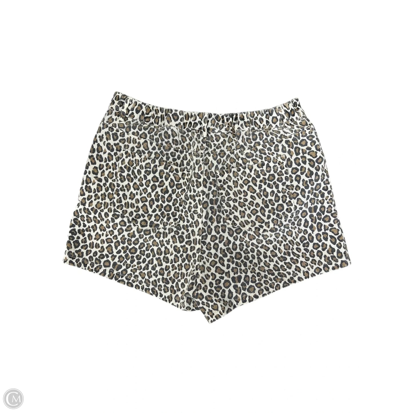 Shorts By Gilli In Animal Print, Size: S