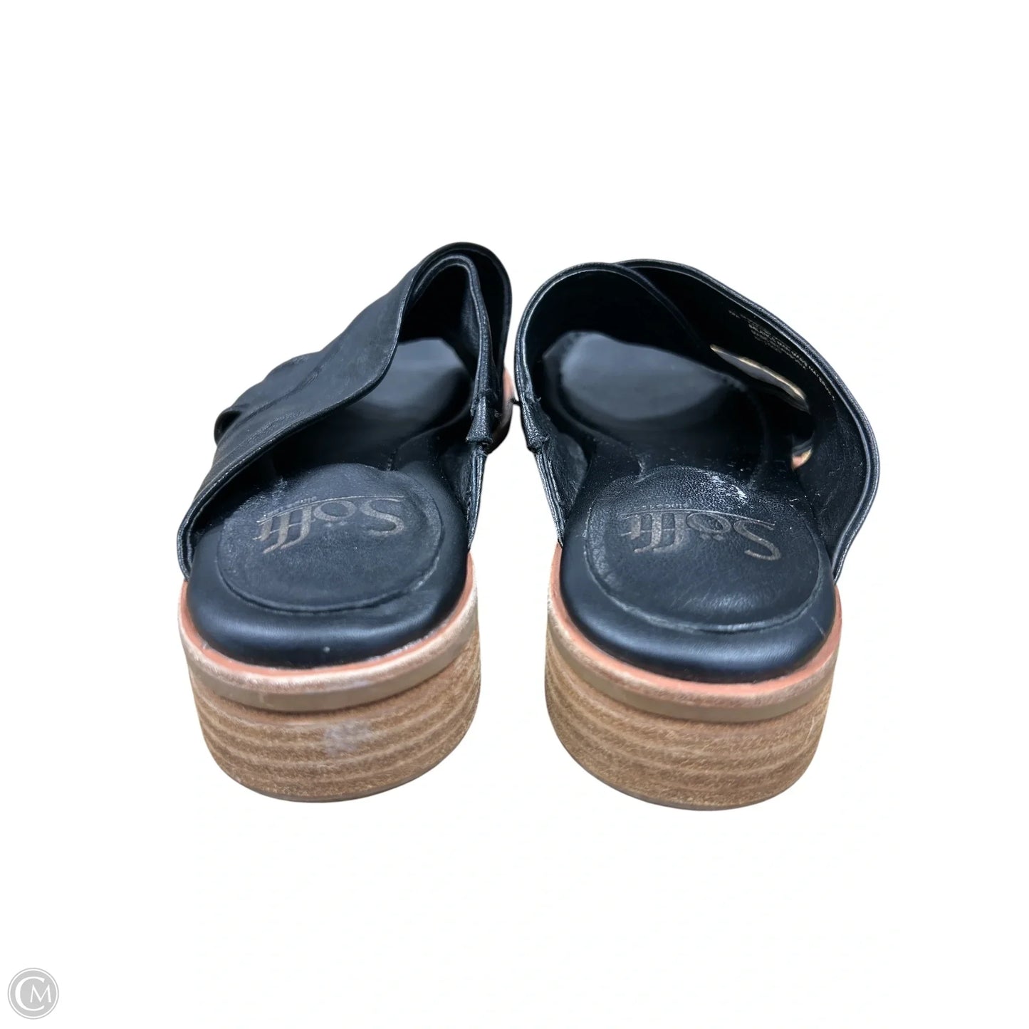 Sandals Flats By Sofft In Black, Size: 8