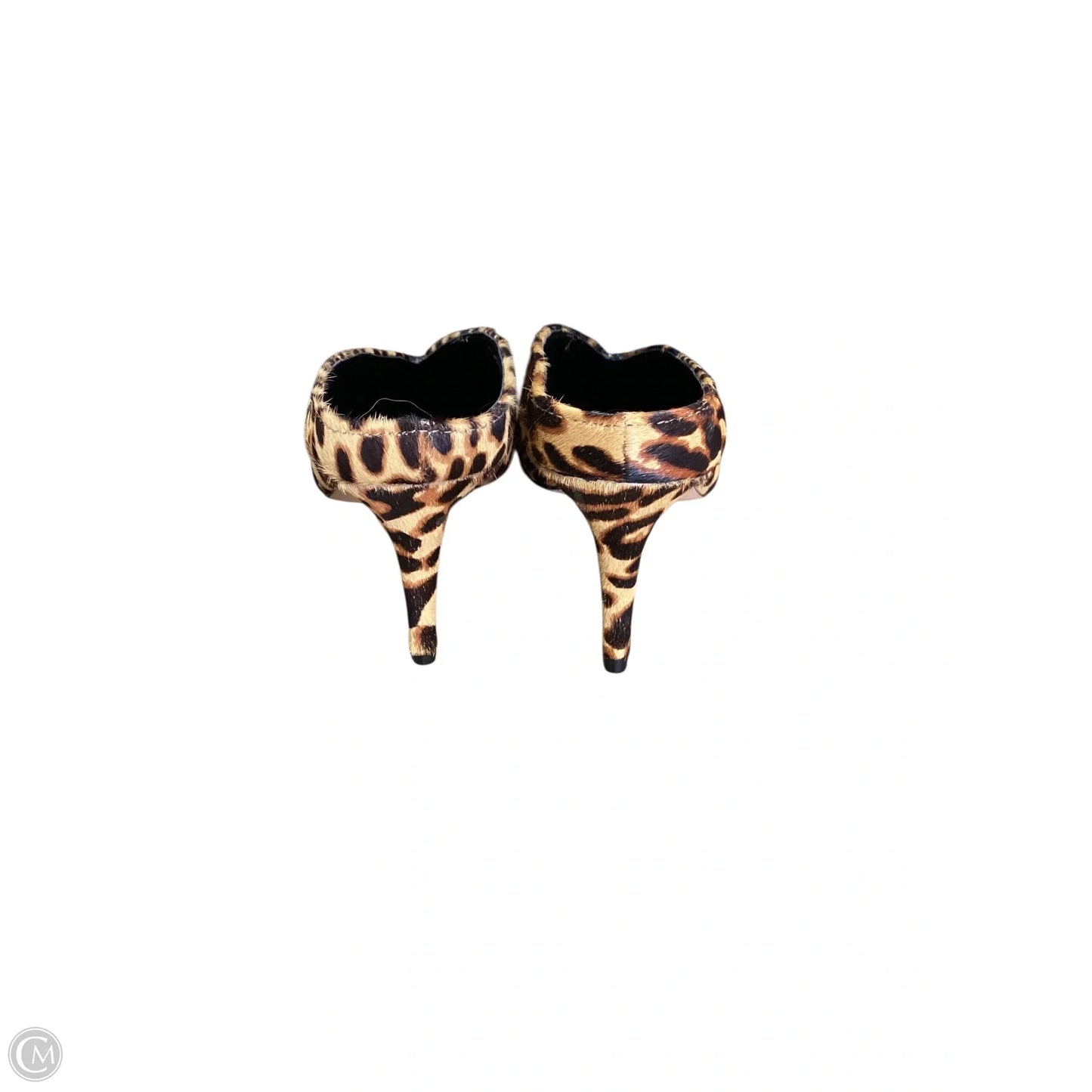 Shoes Heels Kitten By Express In Leopard Print, Size: 7.5