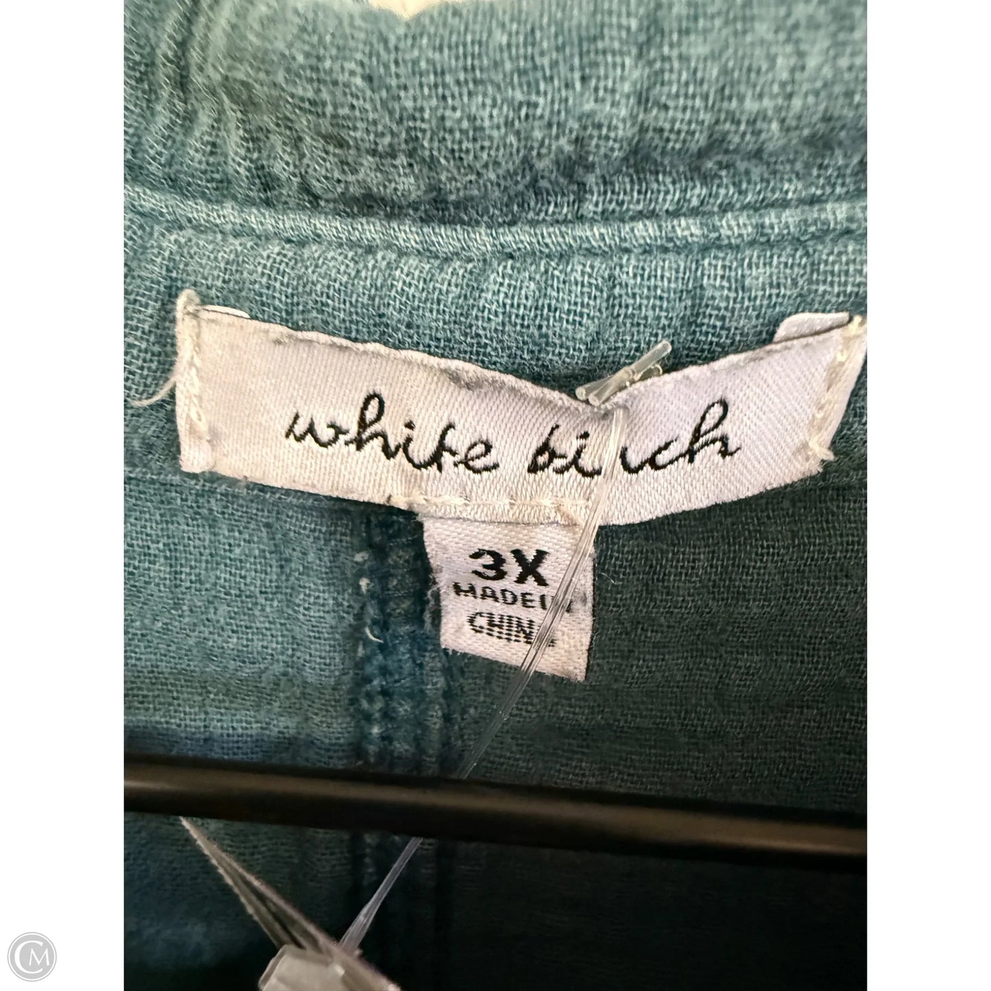 Blouse Long Sleeve By White Birch In Green, Size: 3x