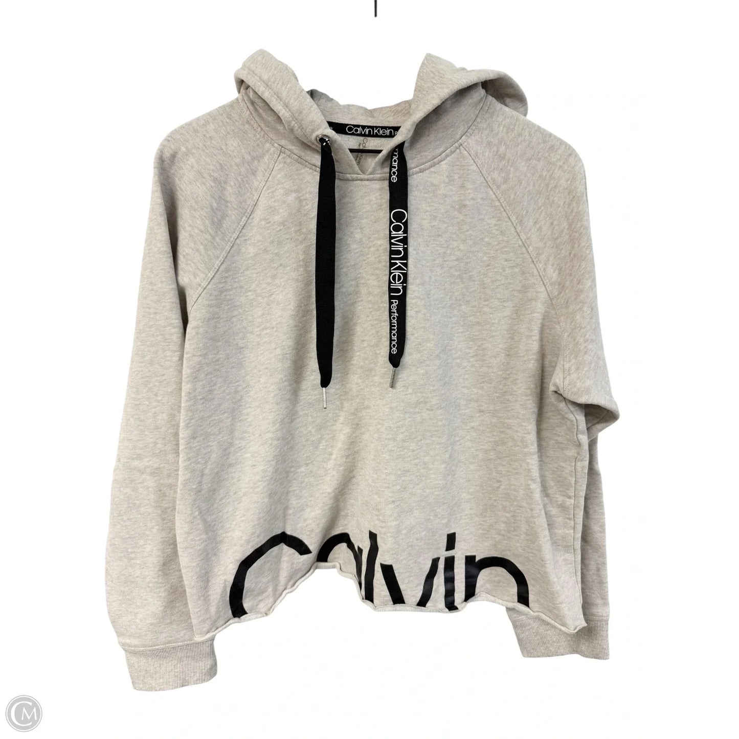 Sweatshirt Hoodie By Calvin Klein Performance In Grey, Size: Xl