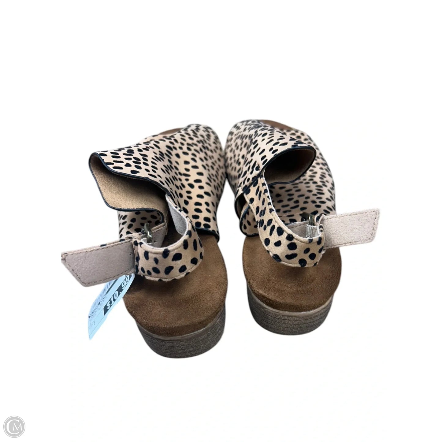 Sandals Flats By Pierre Dumas In Animal Print, Size: 8